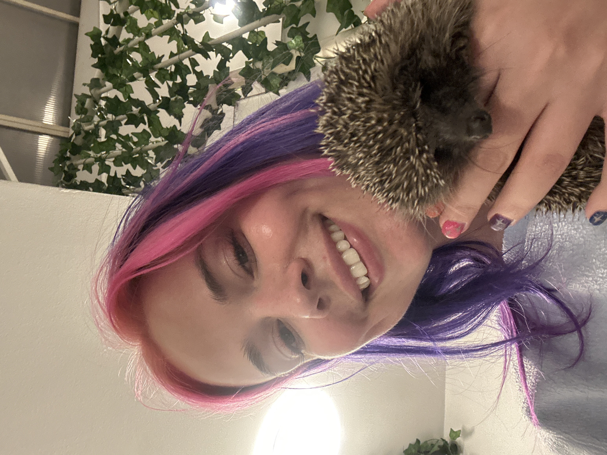 Woman takes nighttime selfies with hedgehog in Zagreb