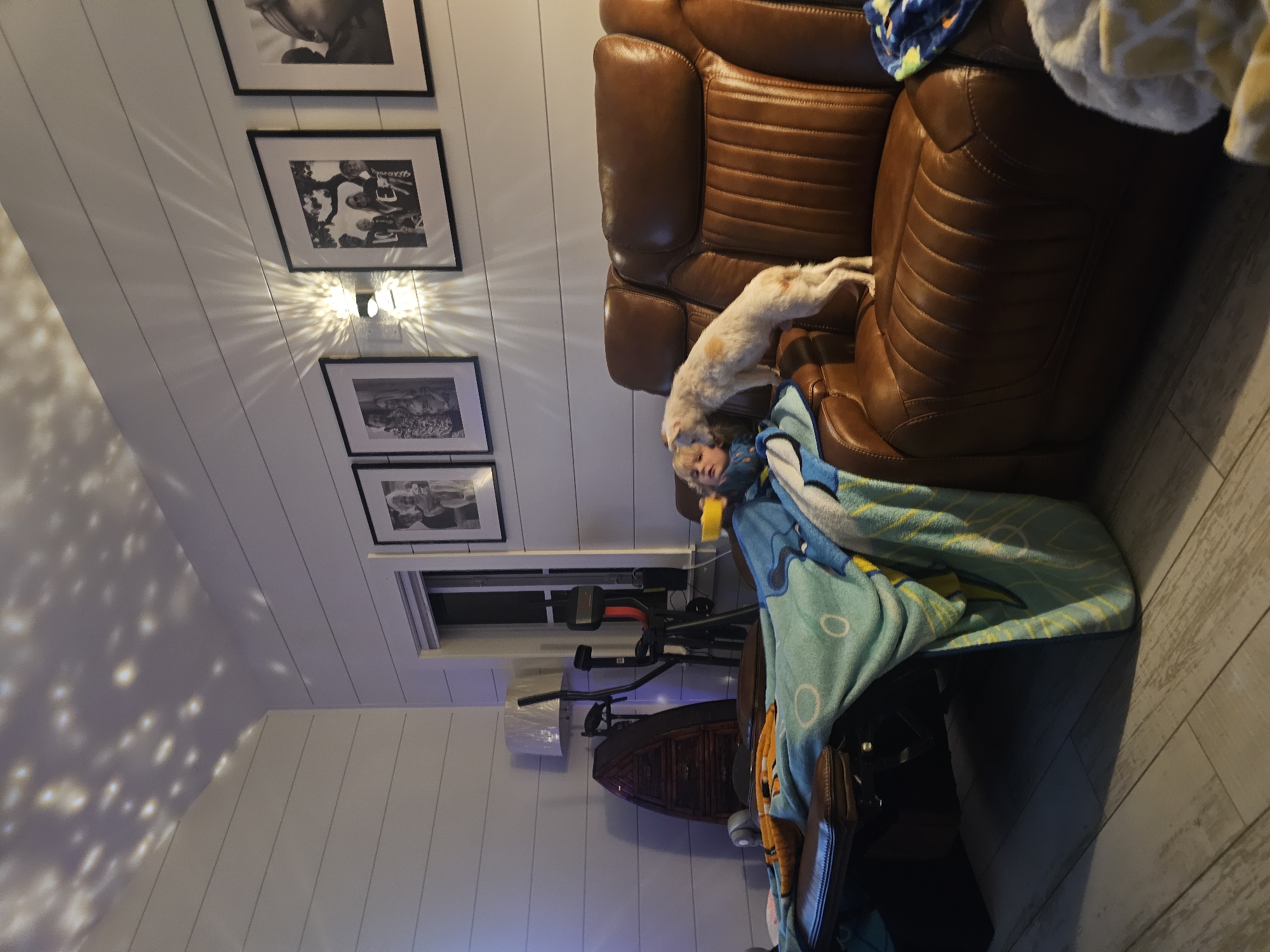 Late-night living room scene in Islamorada with a dog and toddler