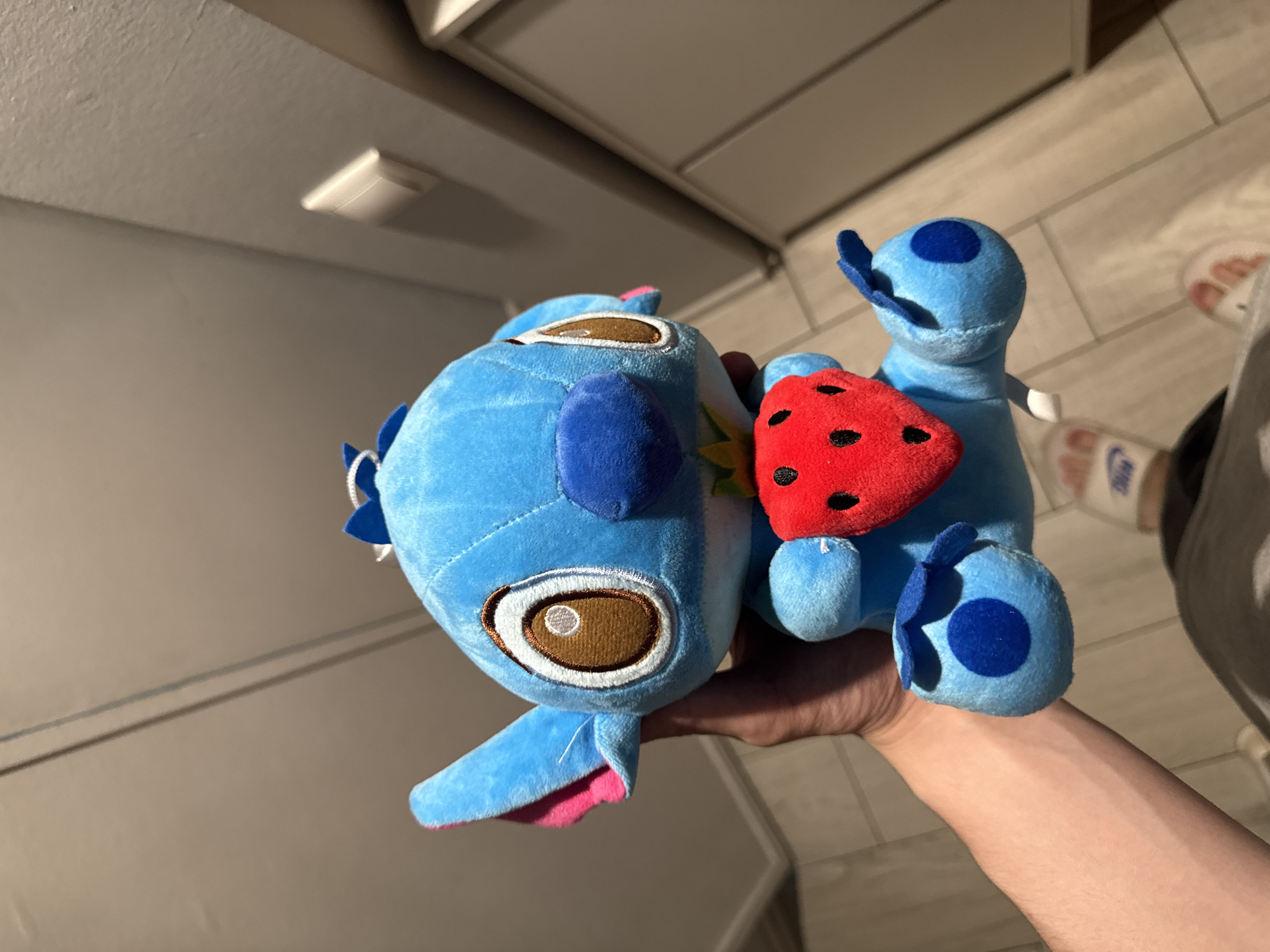Room details, plush toys, and keepsakes from an afternoon at home