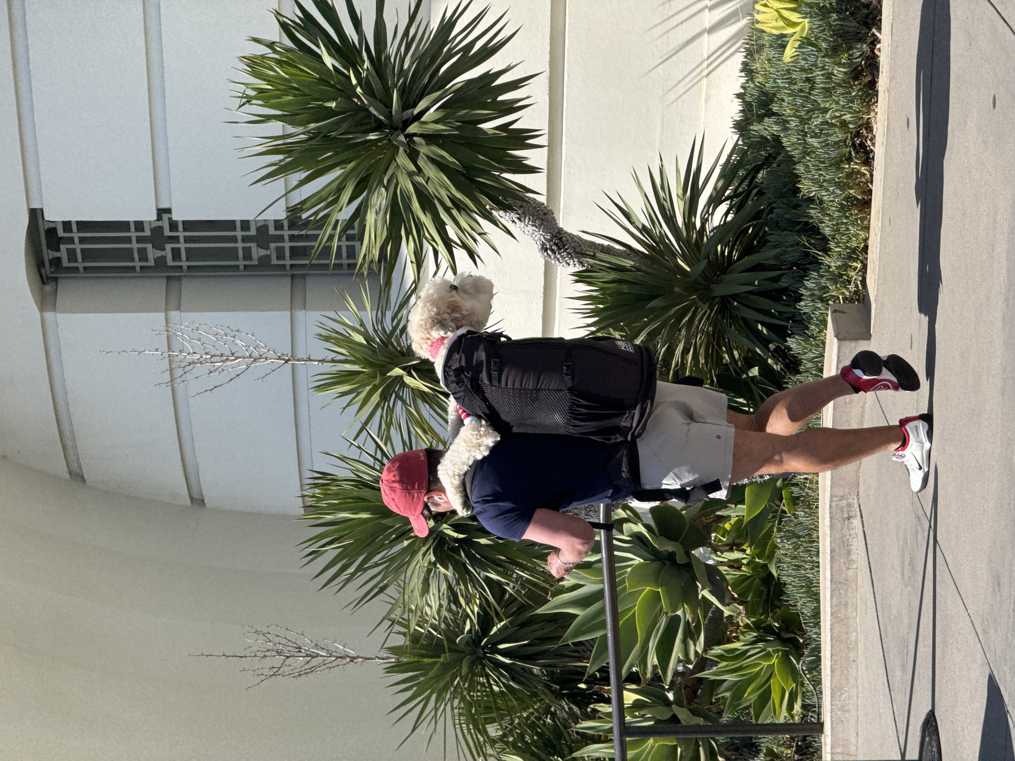 Man visits Griffith Observatory with dog in backpack carrier