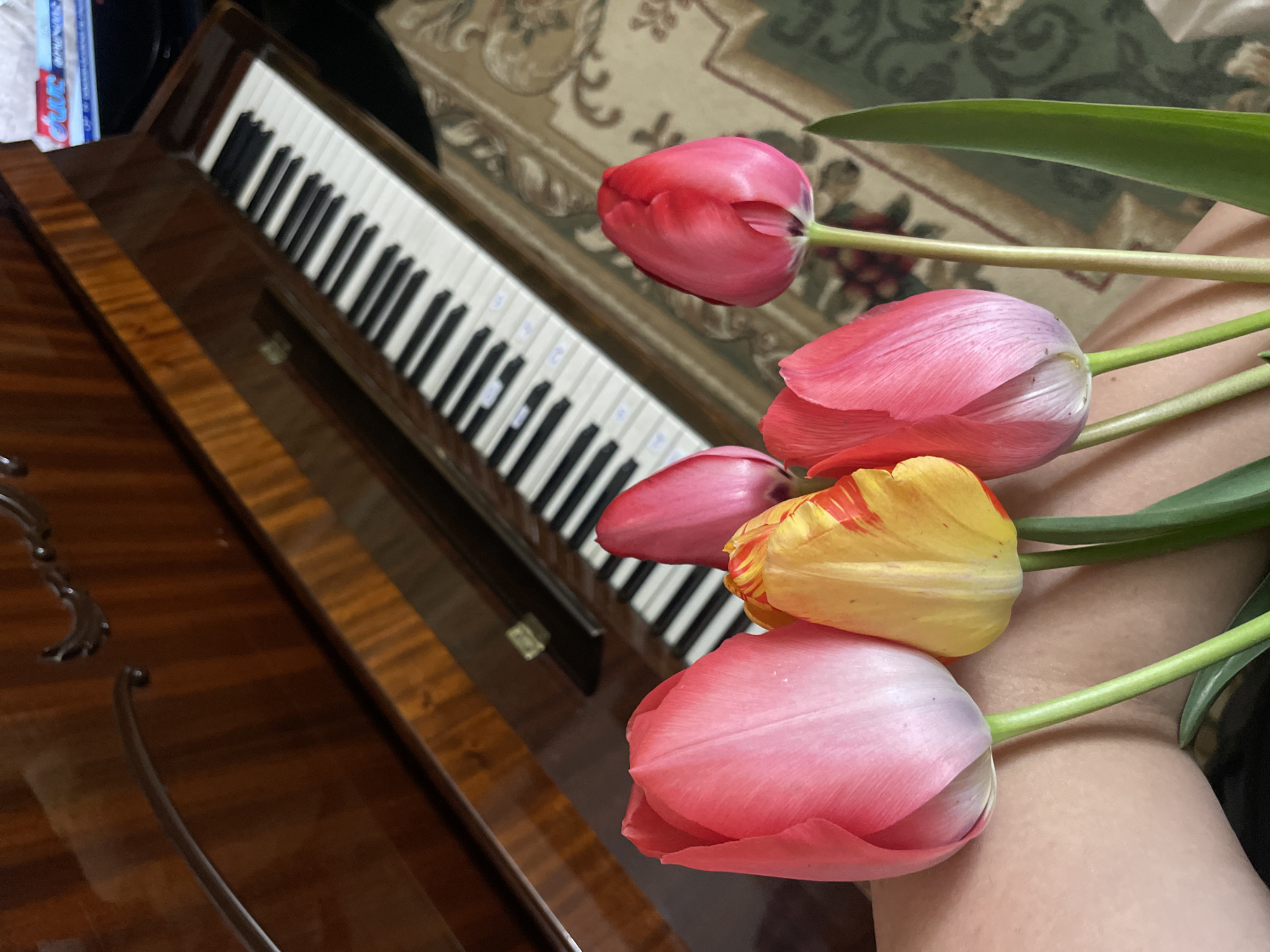 Domestic afternoon moments captured in Yerevan home