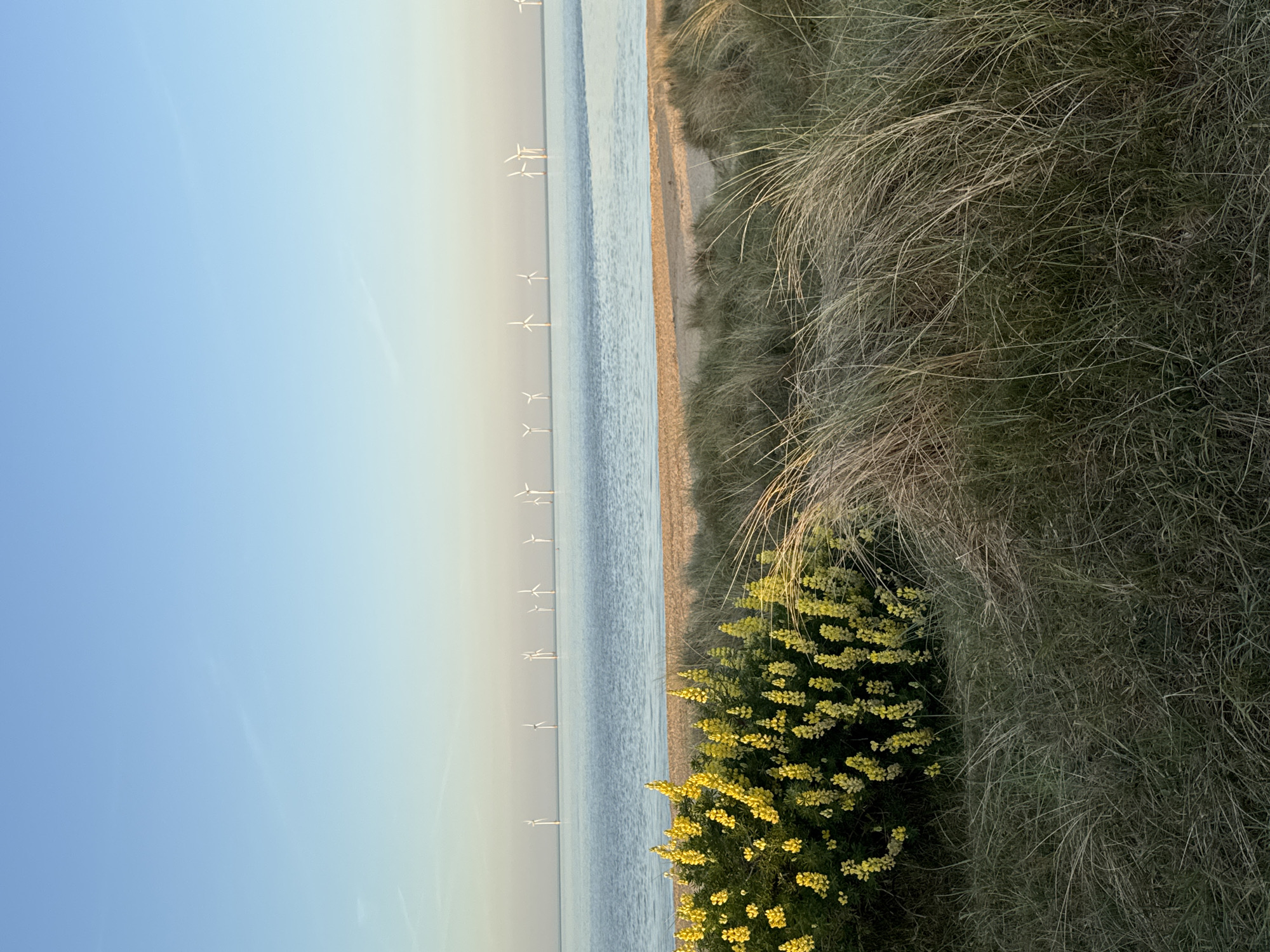 Sunset coastal walk captured at Great Yarmouth dunes