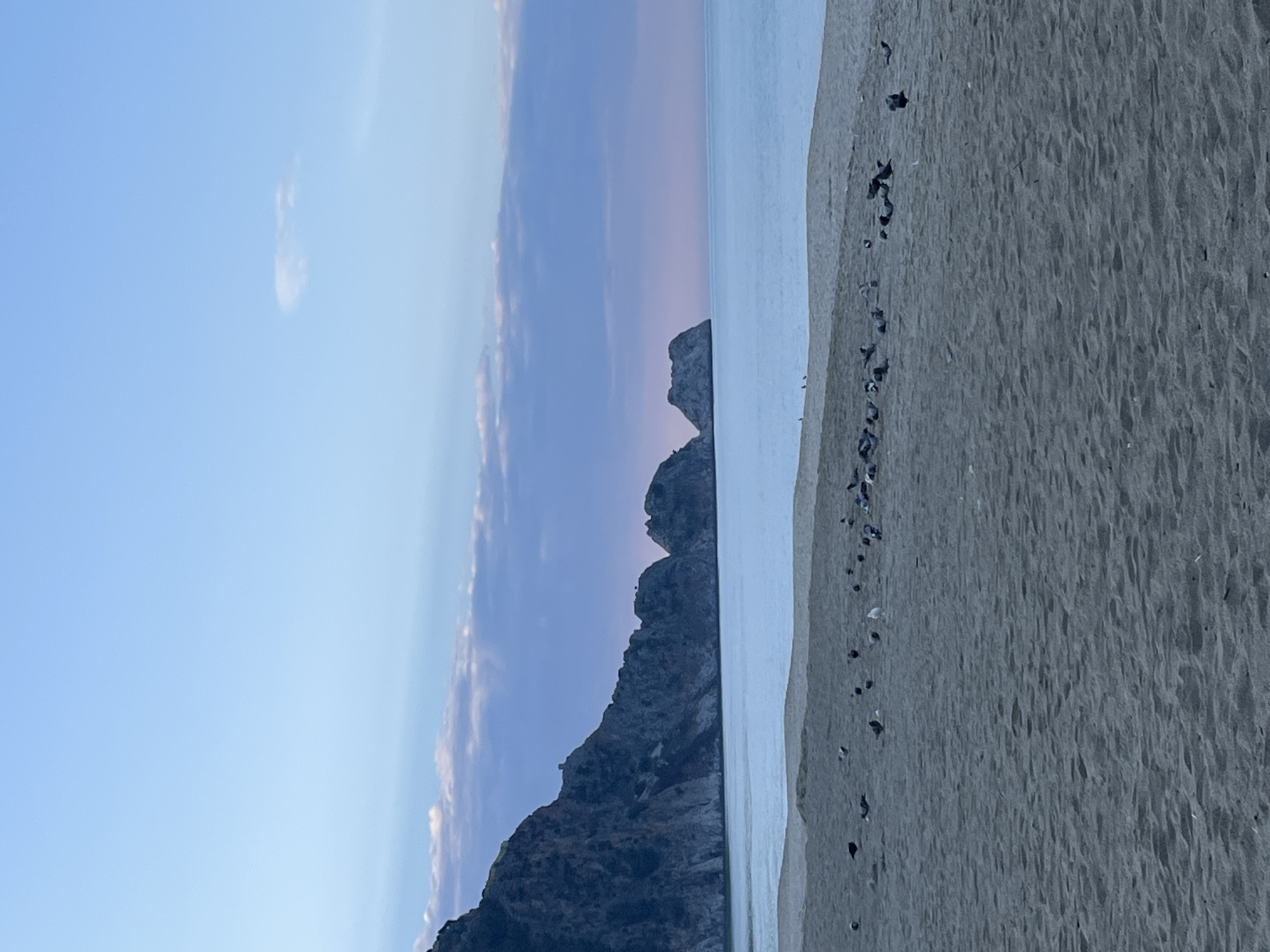 Dawn wildlife and beachgoers observed at Cleopatra Beach, Alanya