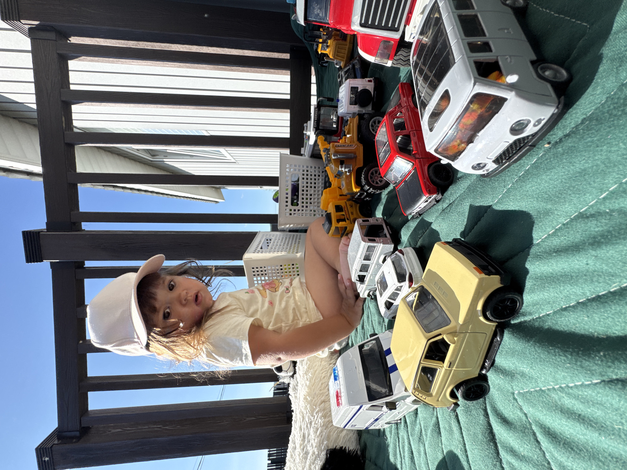 Backyard afternoon: toys, a kitten, and a relaxed dog in Kempelevo