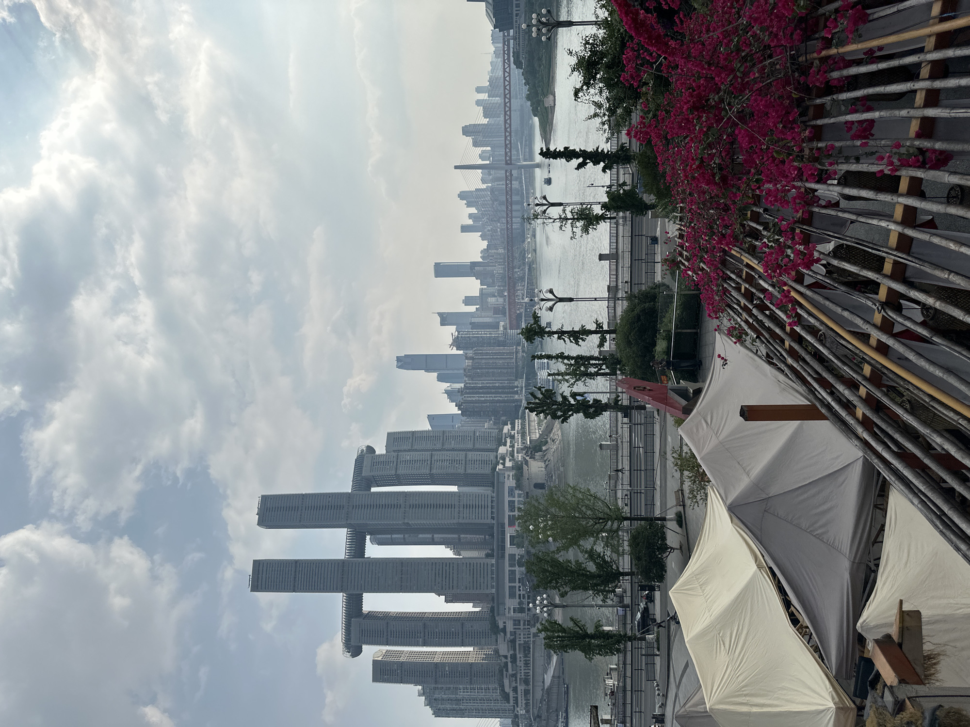 Morning cityscape documented in Chongqing's Nan'an District with flowering bougainvillea