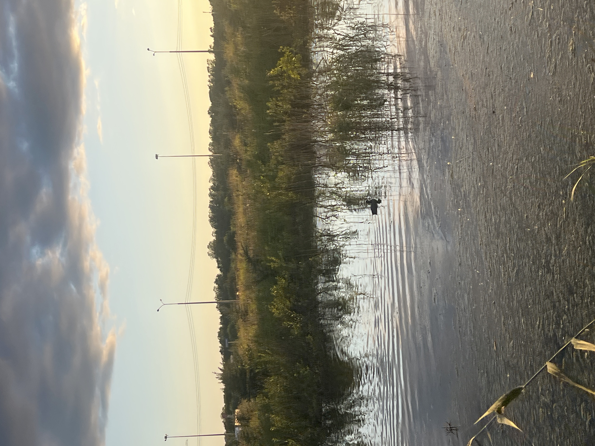 Golden hour wander through an urban wetland at dusk
