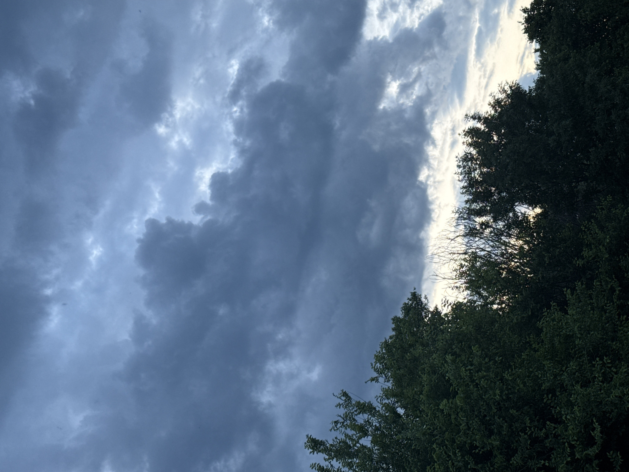 Evening moments captured in Garvanovo: skies, storks, flowers, dogs