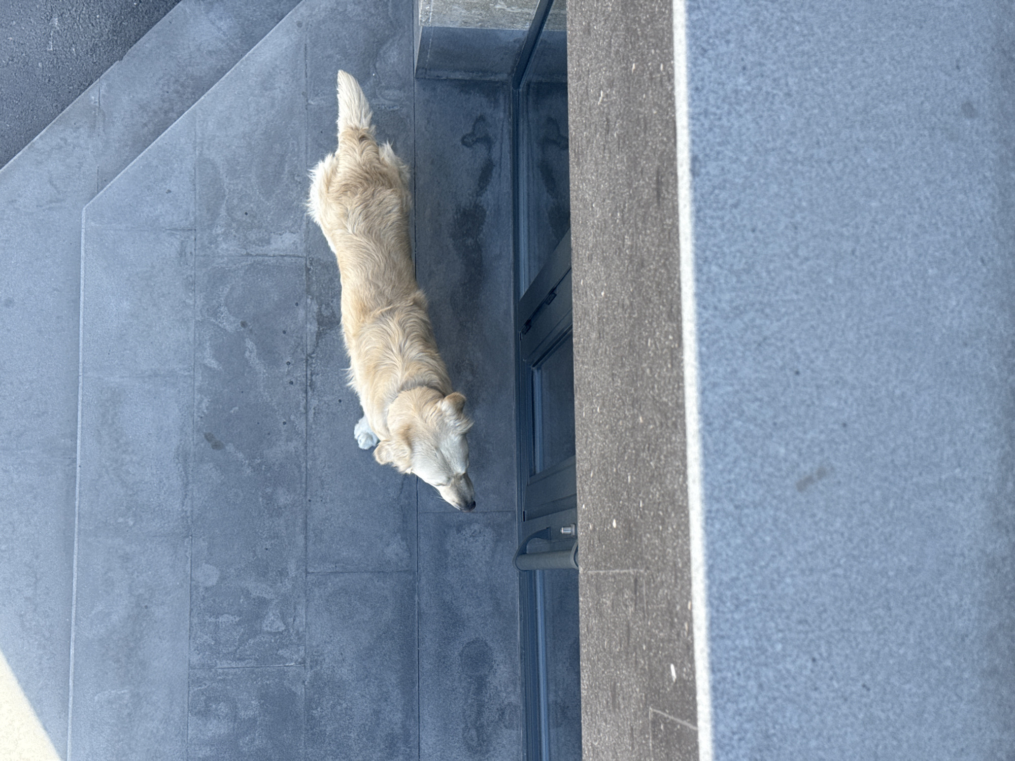 Overhead scenes captured across Armenian cities during morning hours