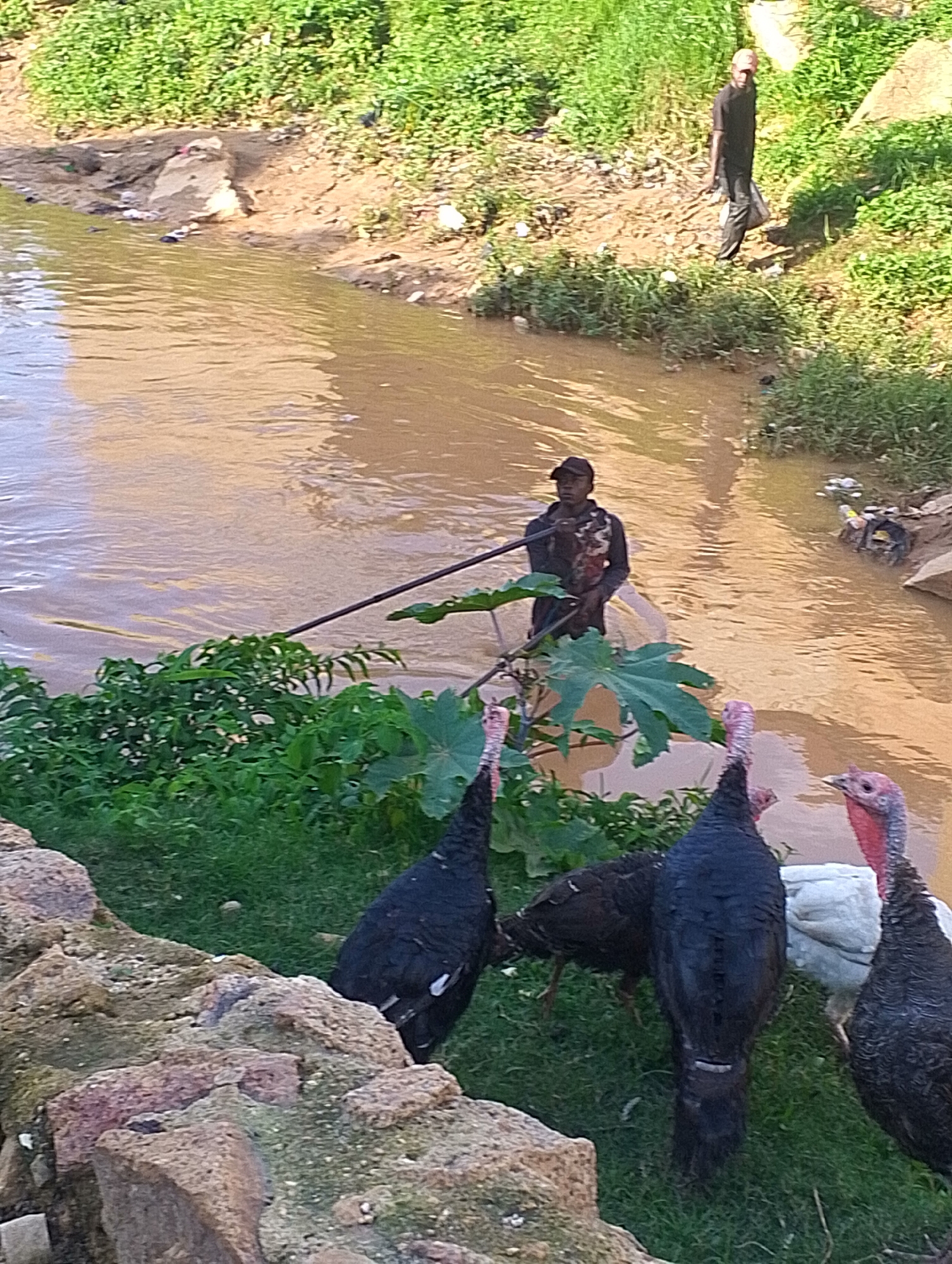 Wading and fishing along a muddy Jos riverbank