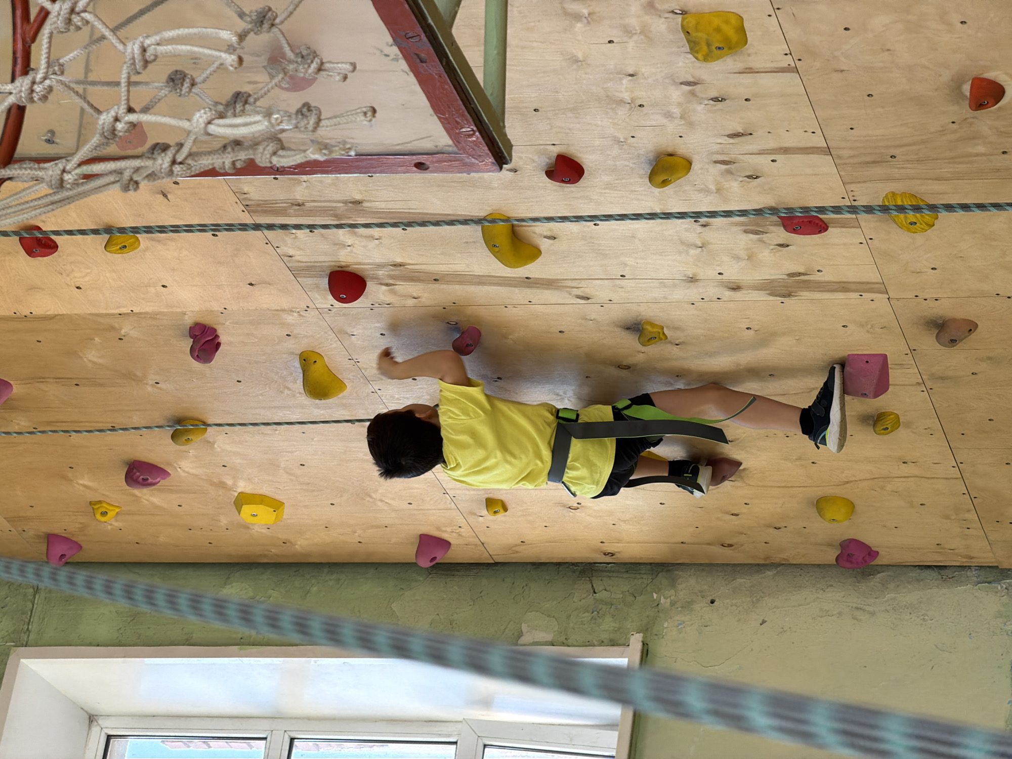 Children practice indoor rock climbing at Izhevsk gymnasium