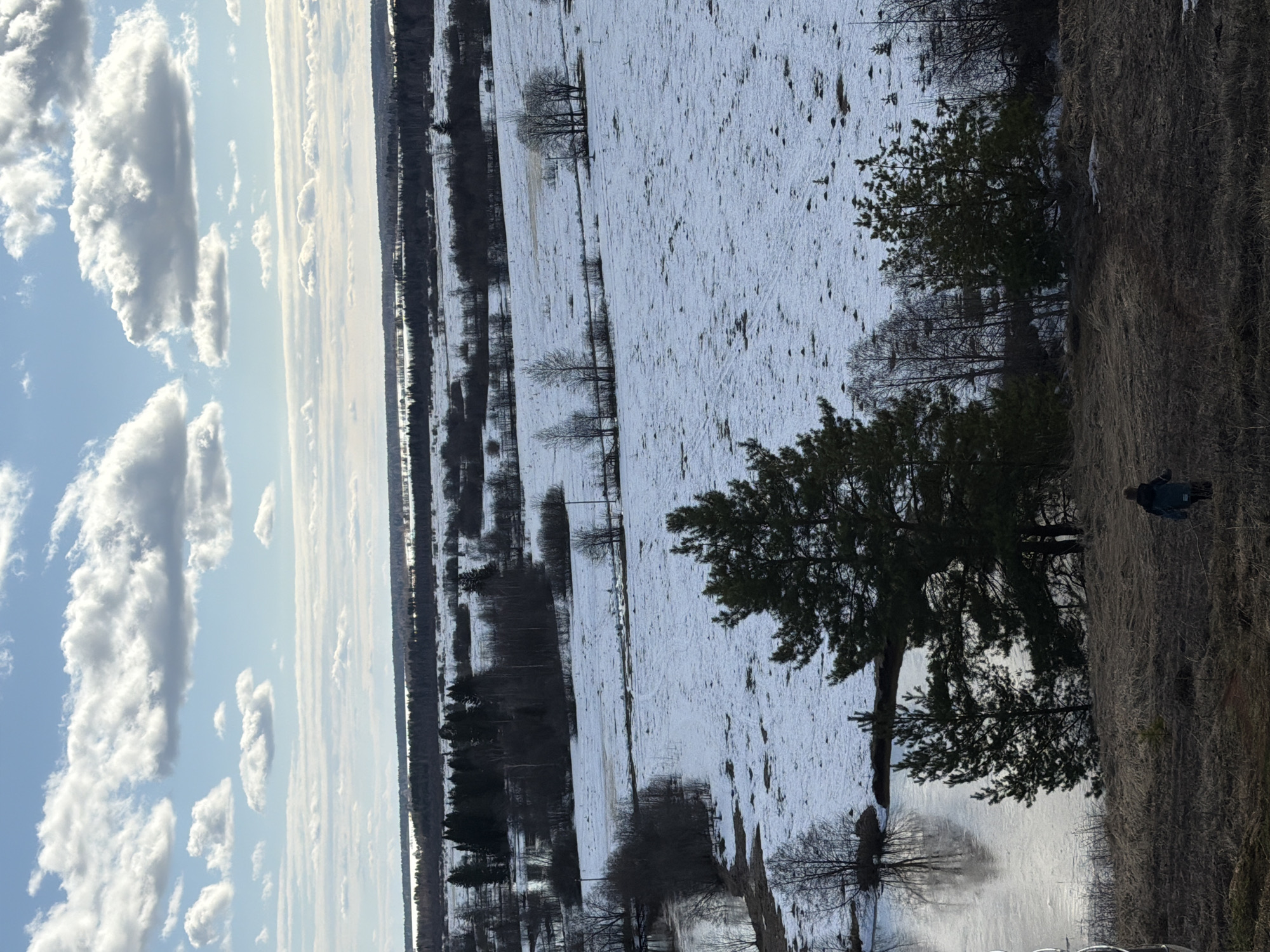 Snowy landscape observed in Sundur, Russia