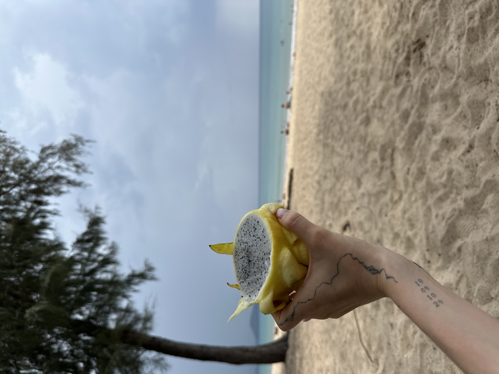 Person displays cut dragon fruit on Choeng Thale beach