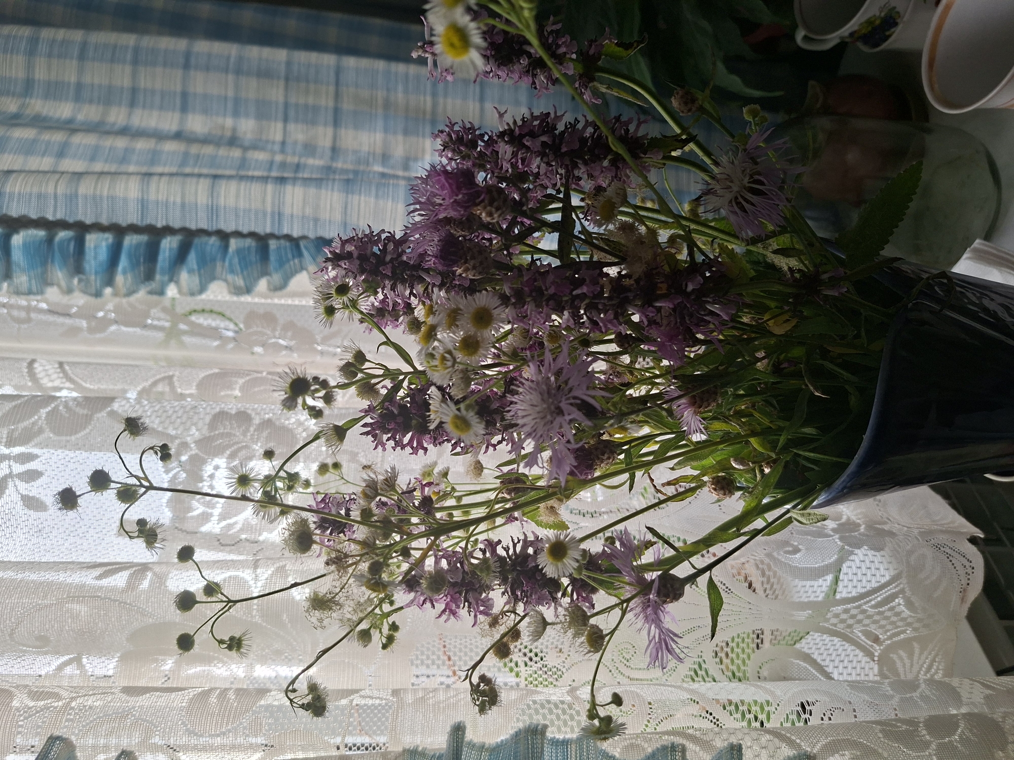 Babynino, Russia