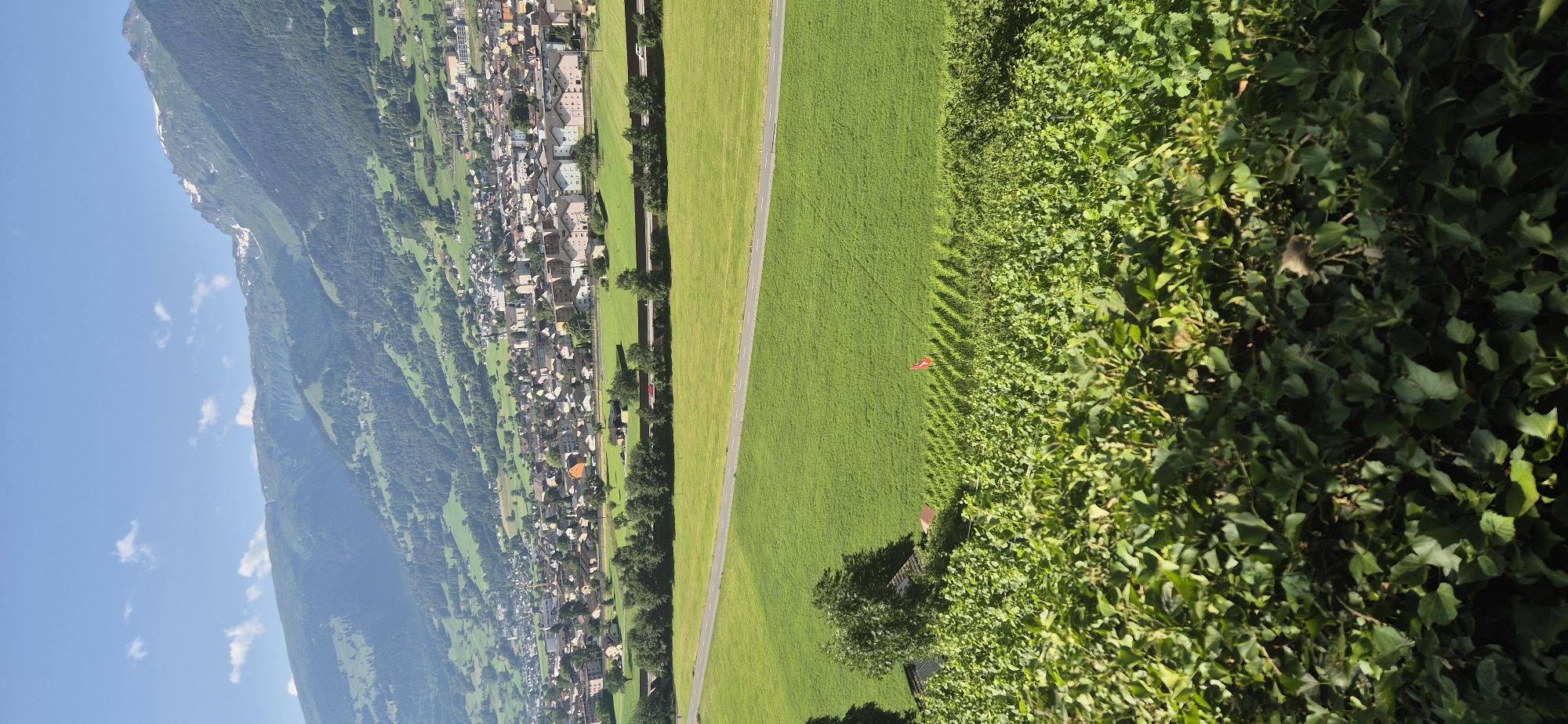 Morning trail walk above Sargans, Swiss Rhine Valley