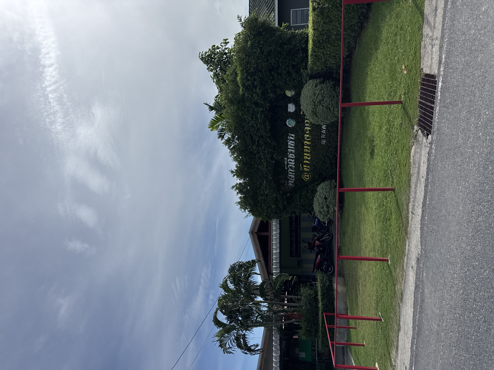 Street-level Rawai: mosque, market stalls, cats, and daily traffic