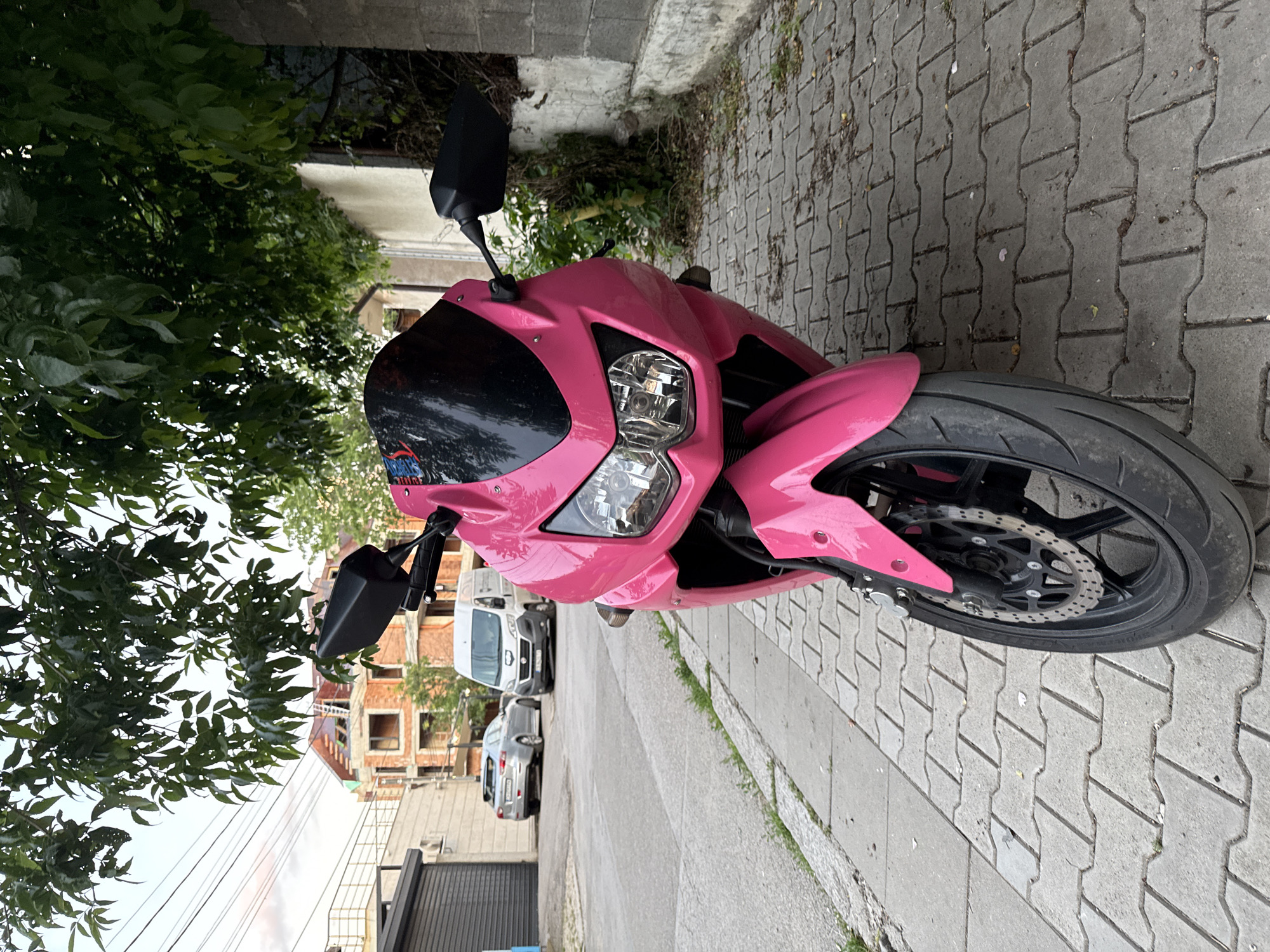 Urban witness documents routine street scenes including motorcycle, cat, mural