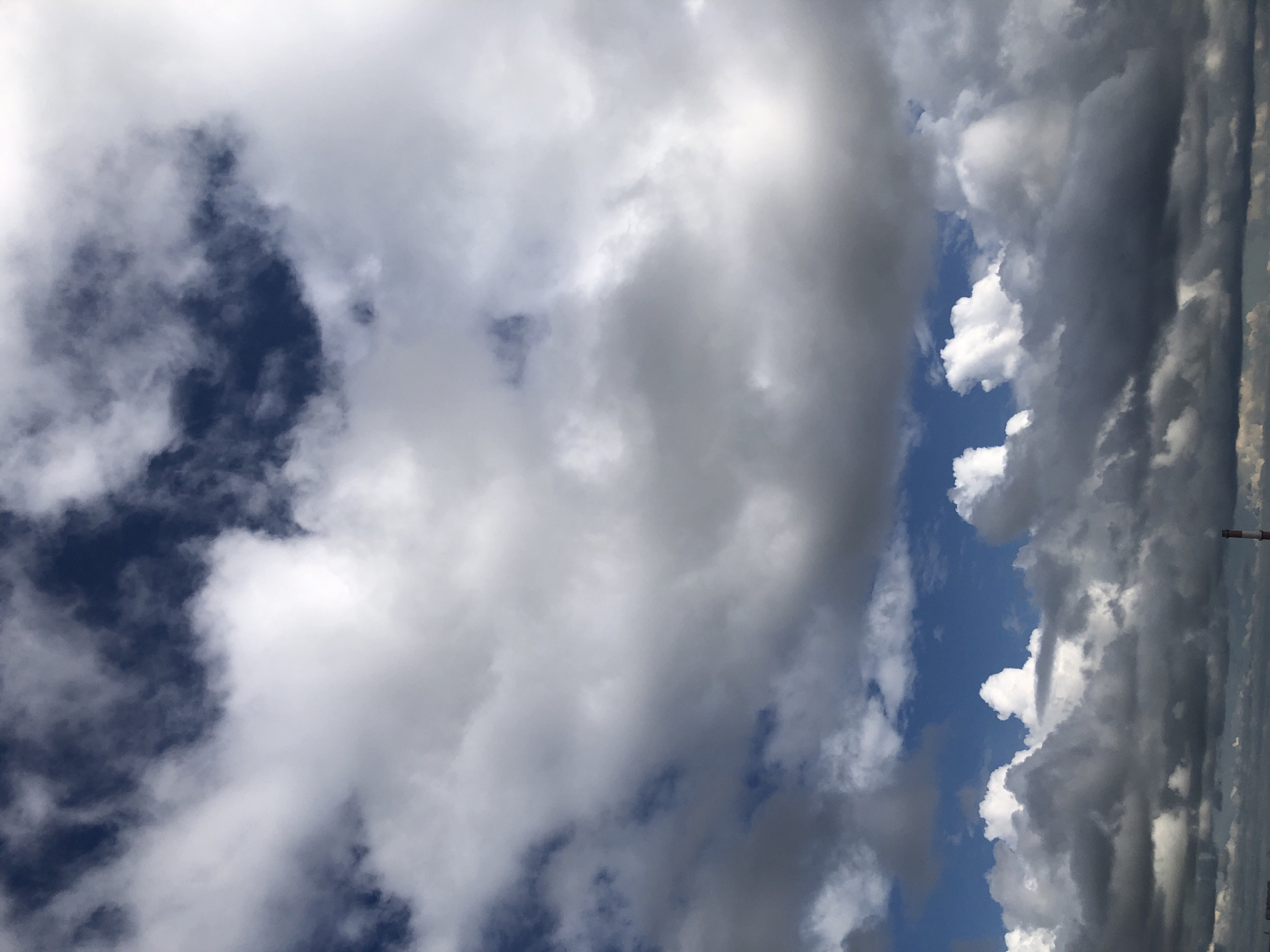 Aerial city views under mixed skies, plus one very unrelated cat