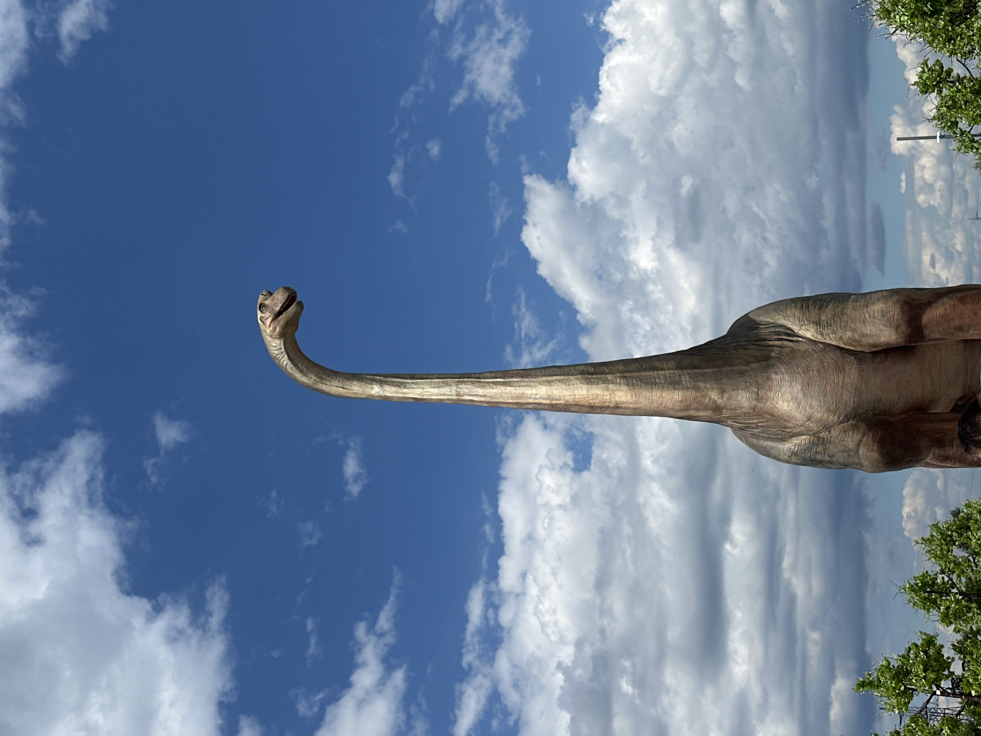 Sunny afternoon at an outdoor park with a dinosaur statue