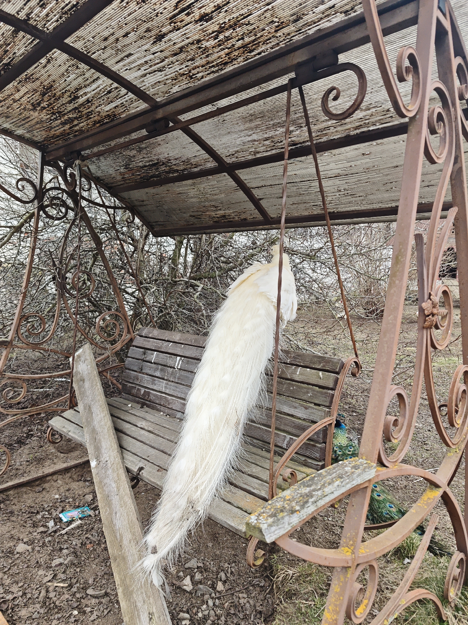 Monastery complex documented in rural Russian village