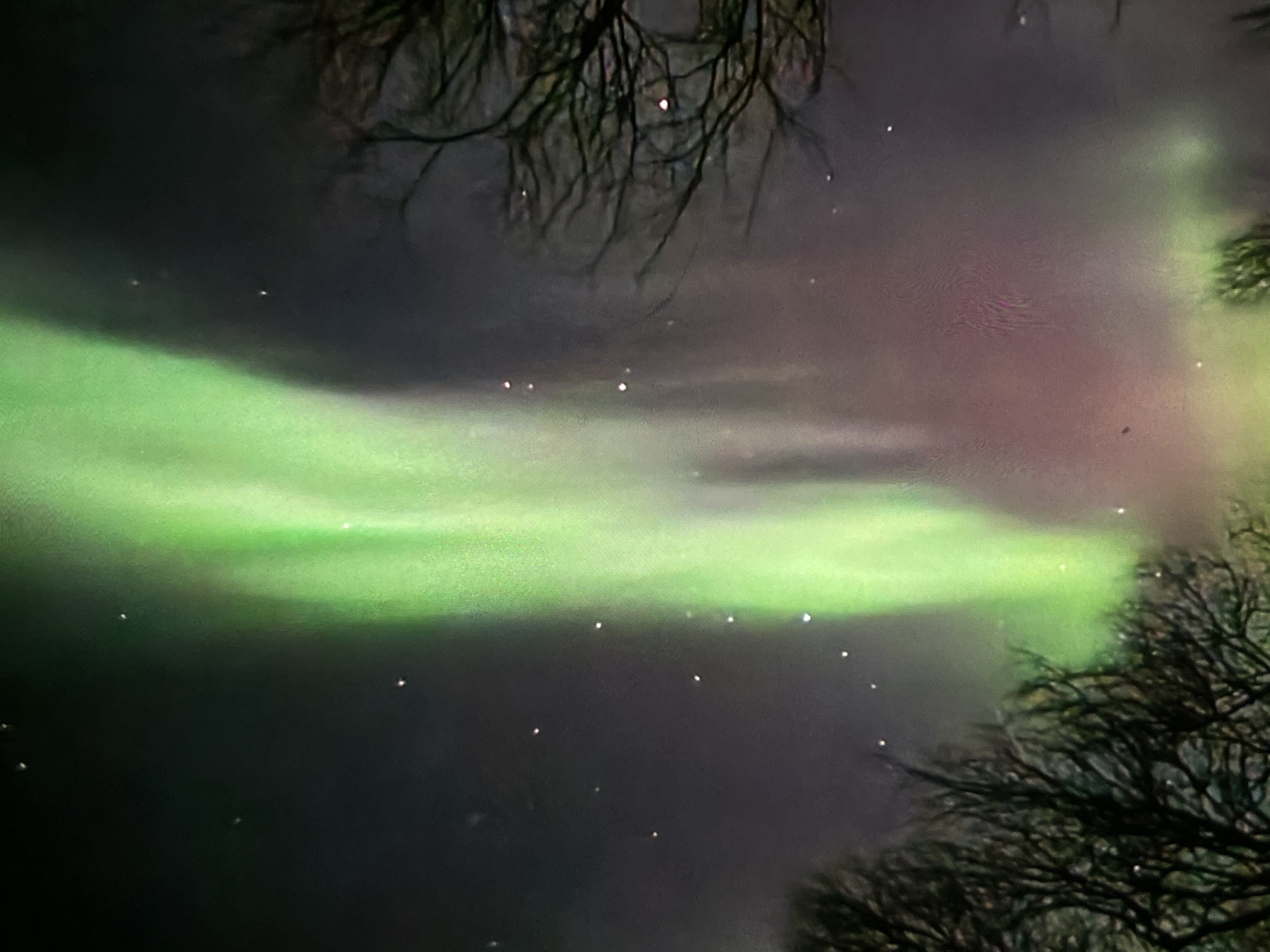 Diverse natural phenomena and landscapes captured across multiple locations