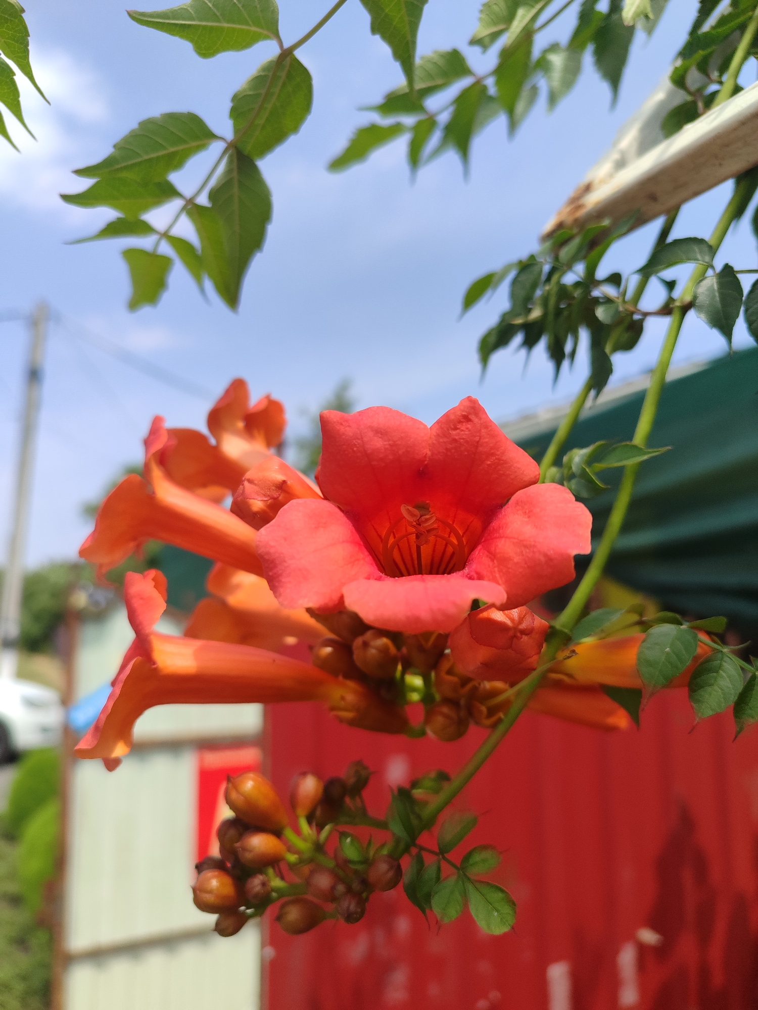 A blooming garden, quirky décor, and a motorcycle wall sculpture