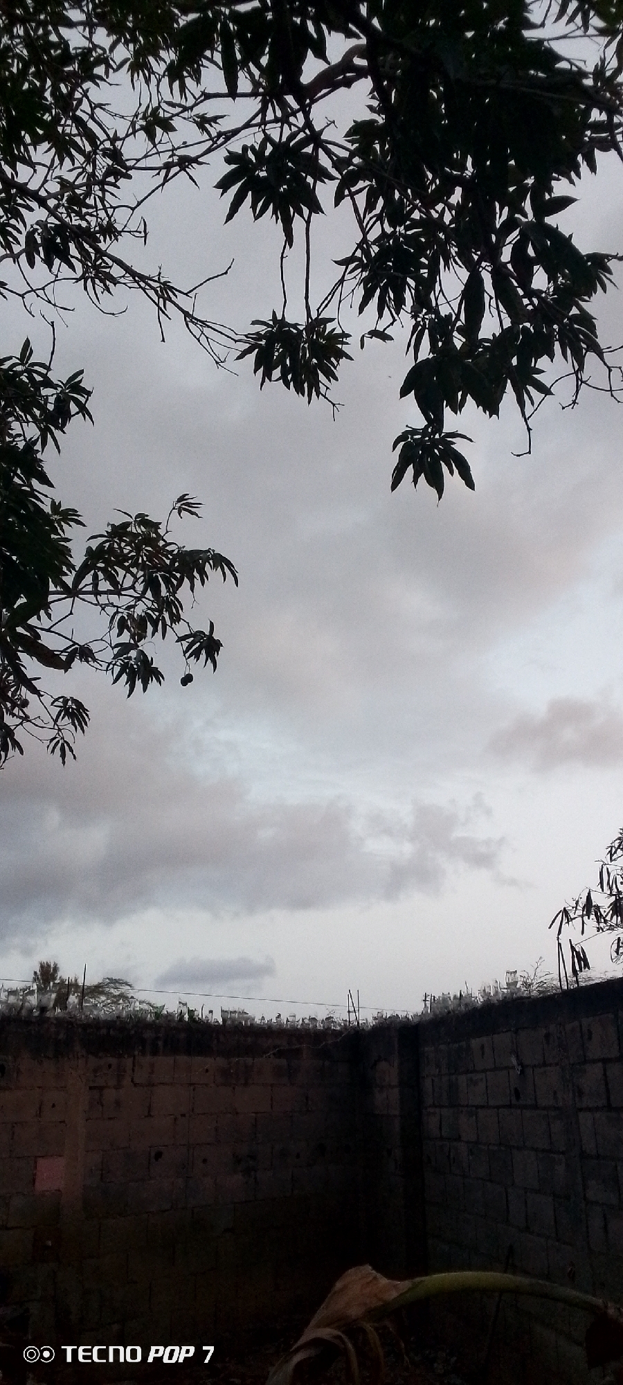 Dusk settles over Altagracia, framed through trees and rooftops