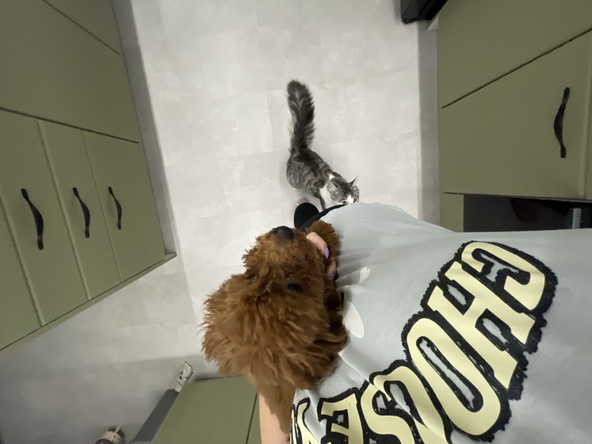 Morning pet time captured in Sofia apartment