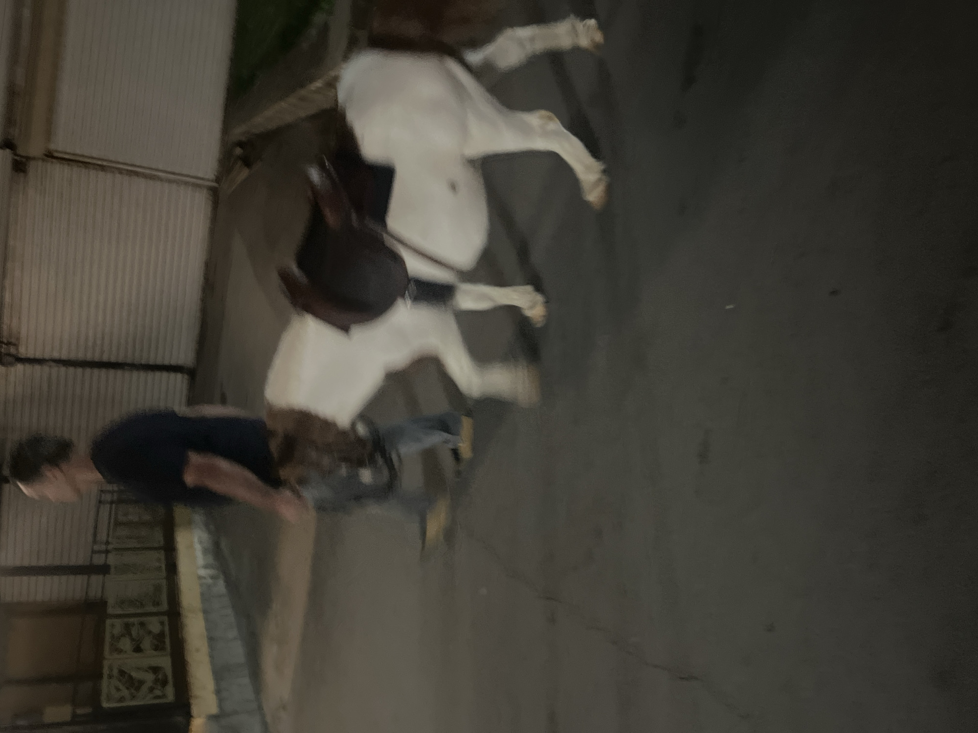 Night out near a lit Eiffel Tower replica with food and horses