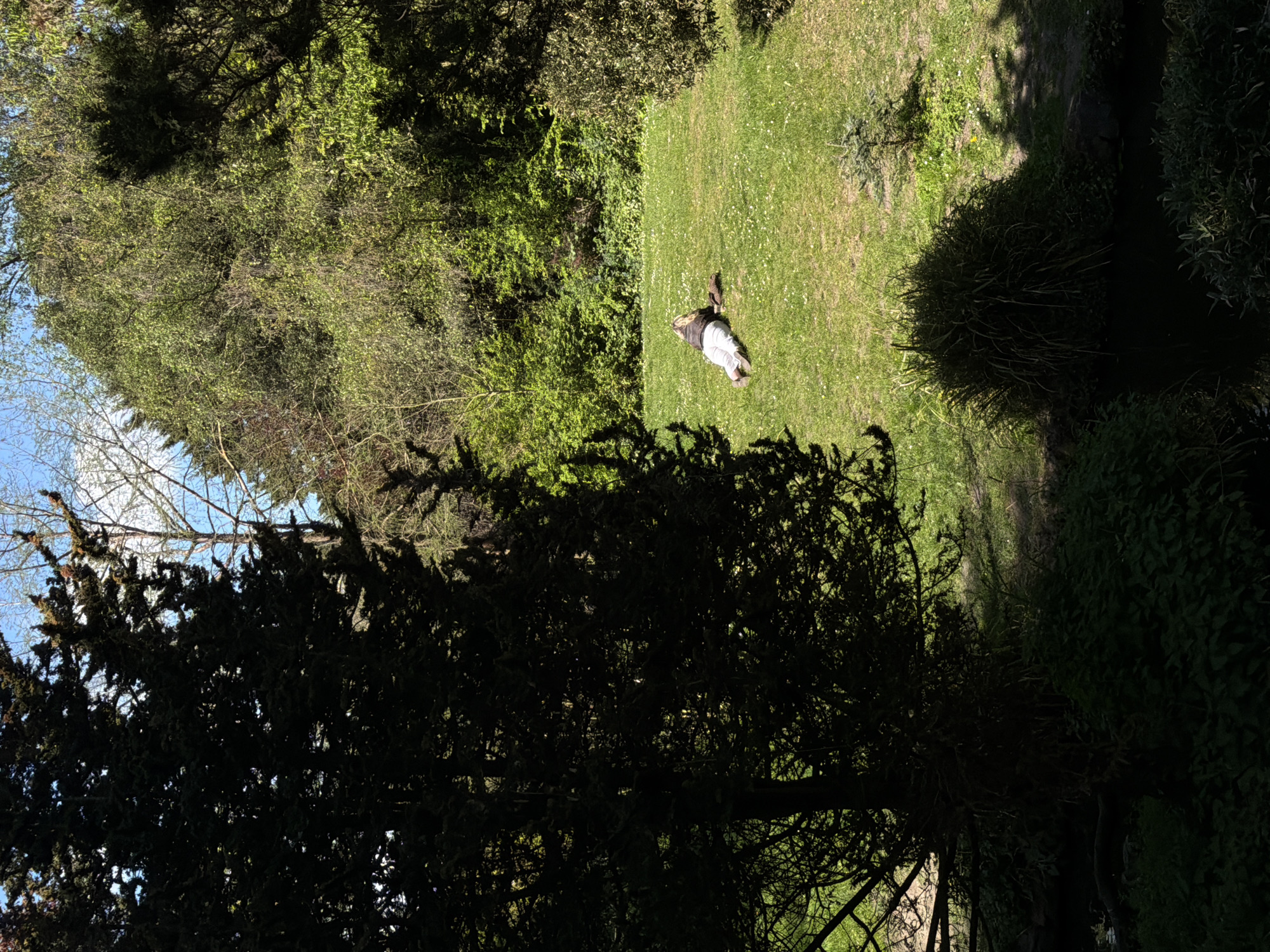 Person enjoys sunny morning rest in London's Peckham Rye Park