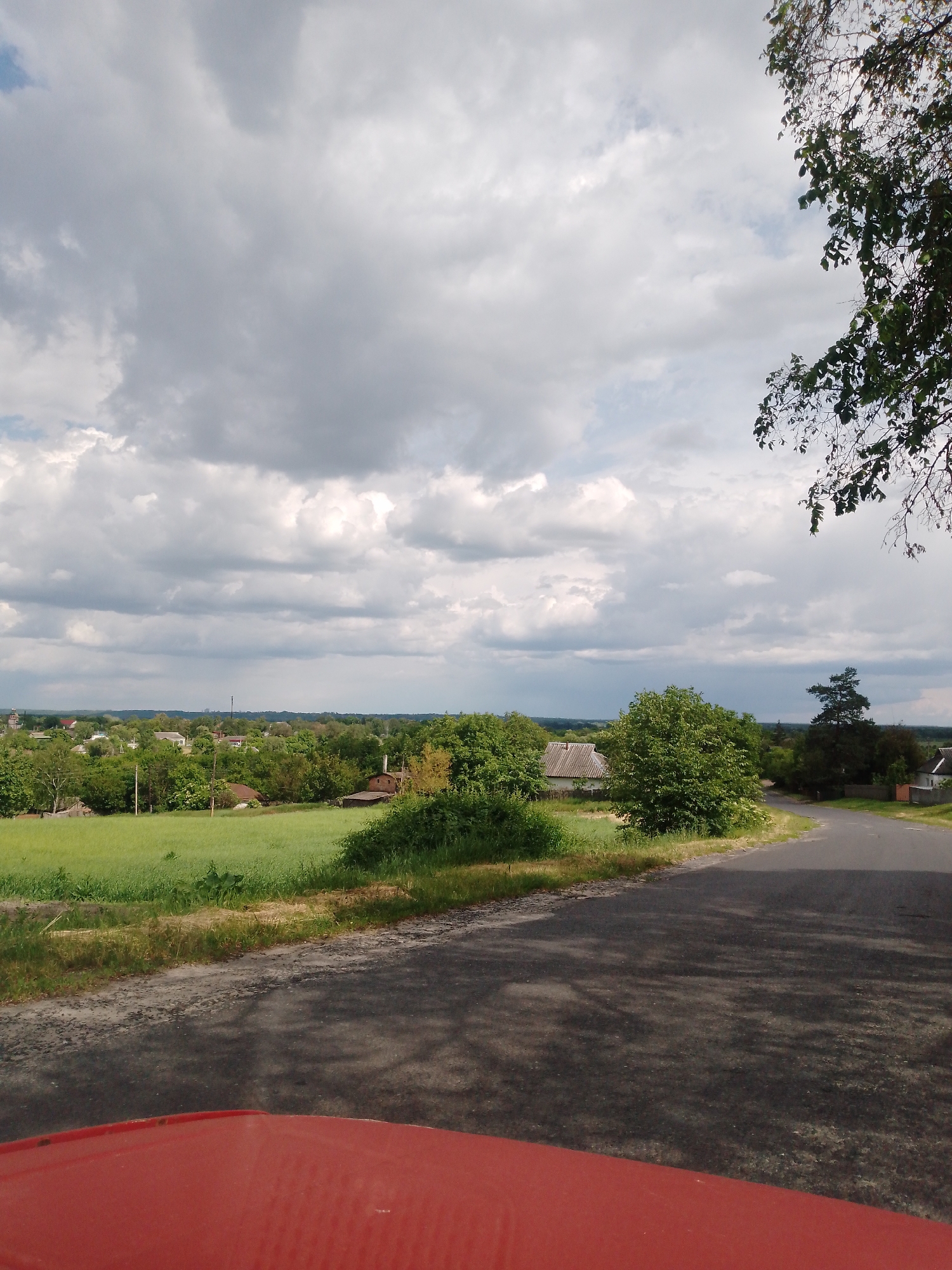 Rural countryside drive documented through 25 pastoral roadside memories