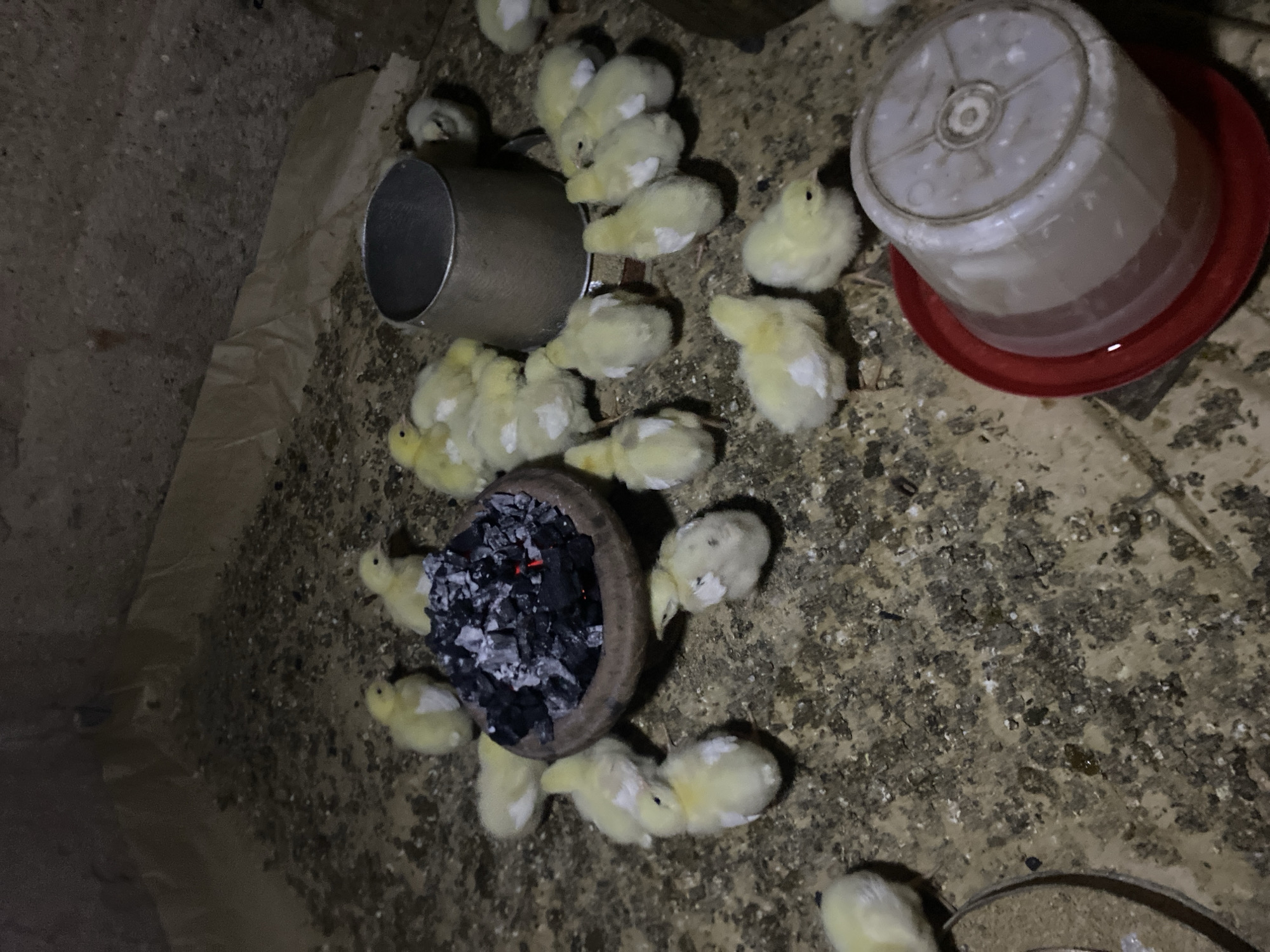 Rural farm life documented in Bukuru, Nigeria