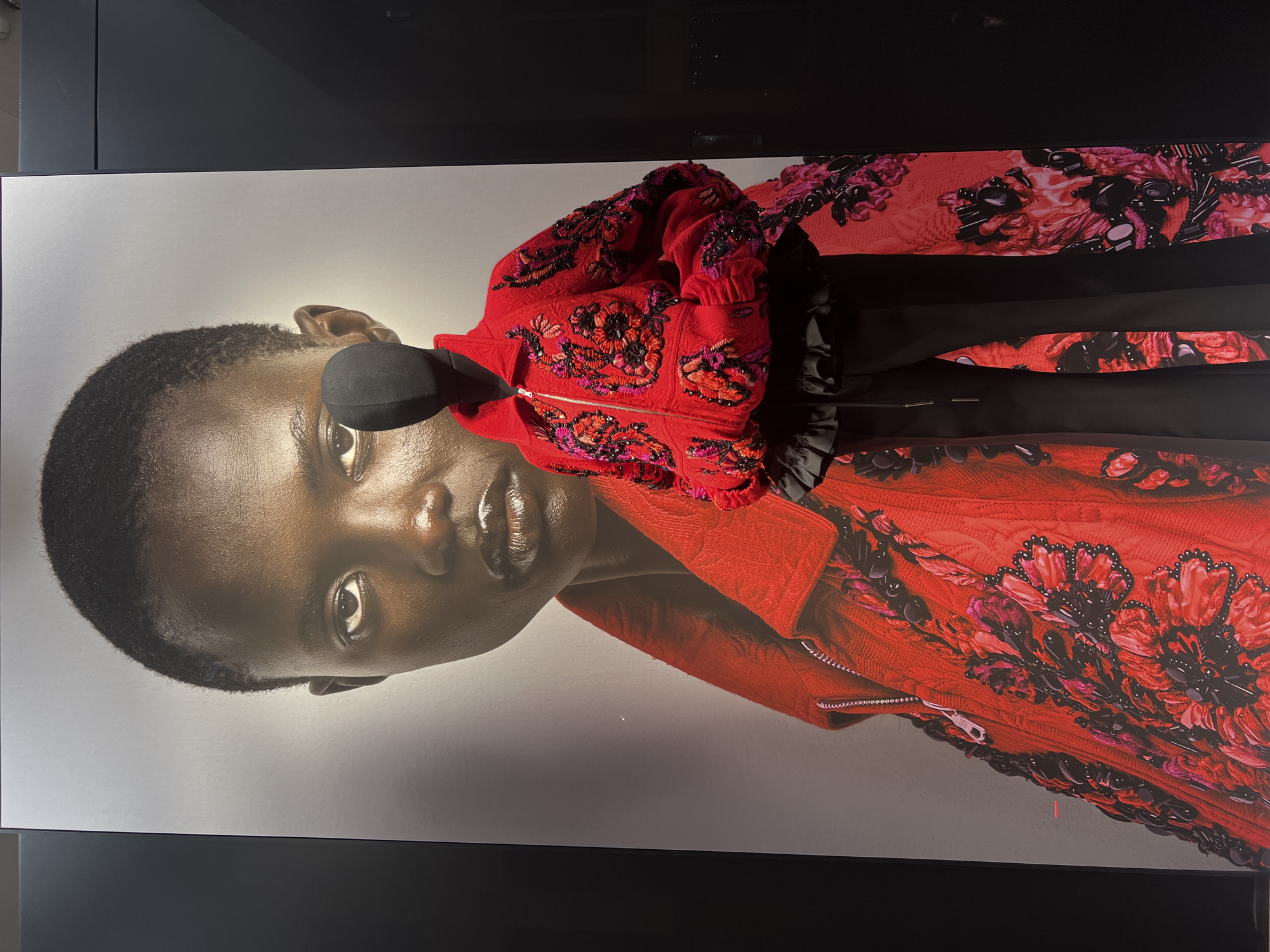Portrait poster displayed in dimly lit Antwerp interior