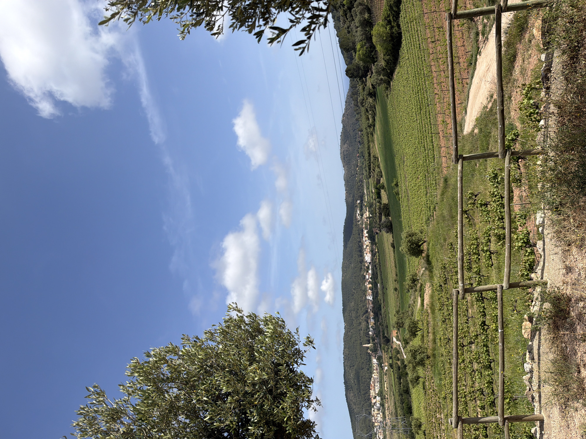 Rural food and wine gathering documented in Bonastre, Spain