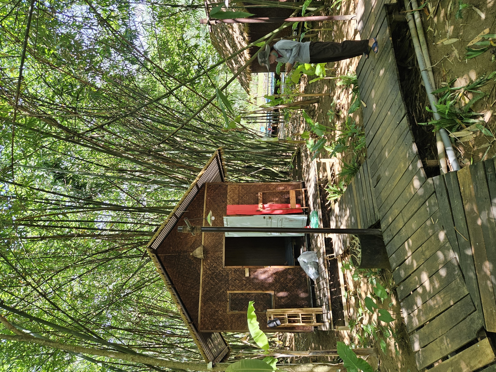 Family explores Đà Nẵng's bamboo forests and natural pools