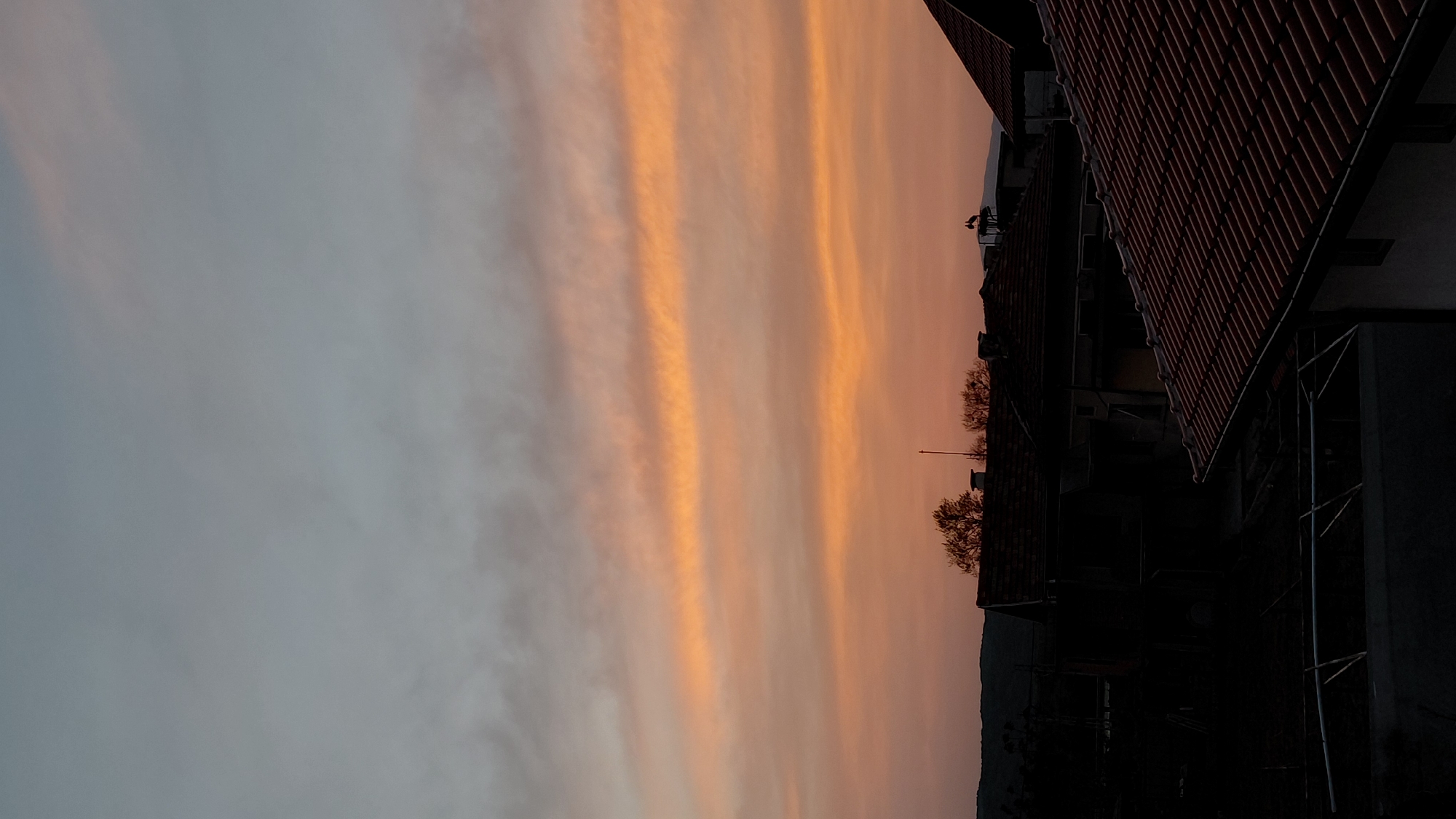 Sunset and stork nest activity observed in urban area