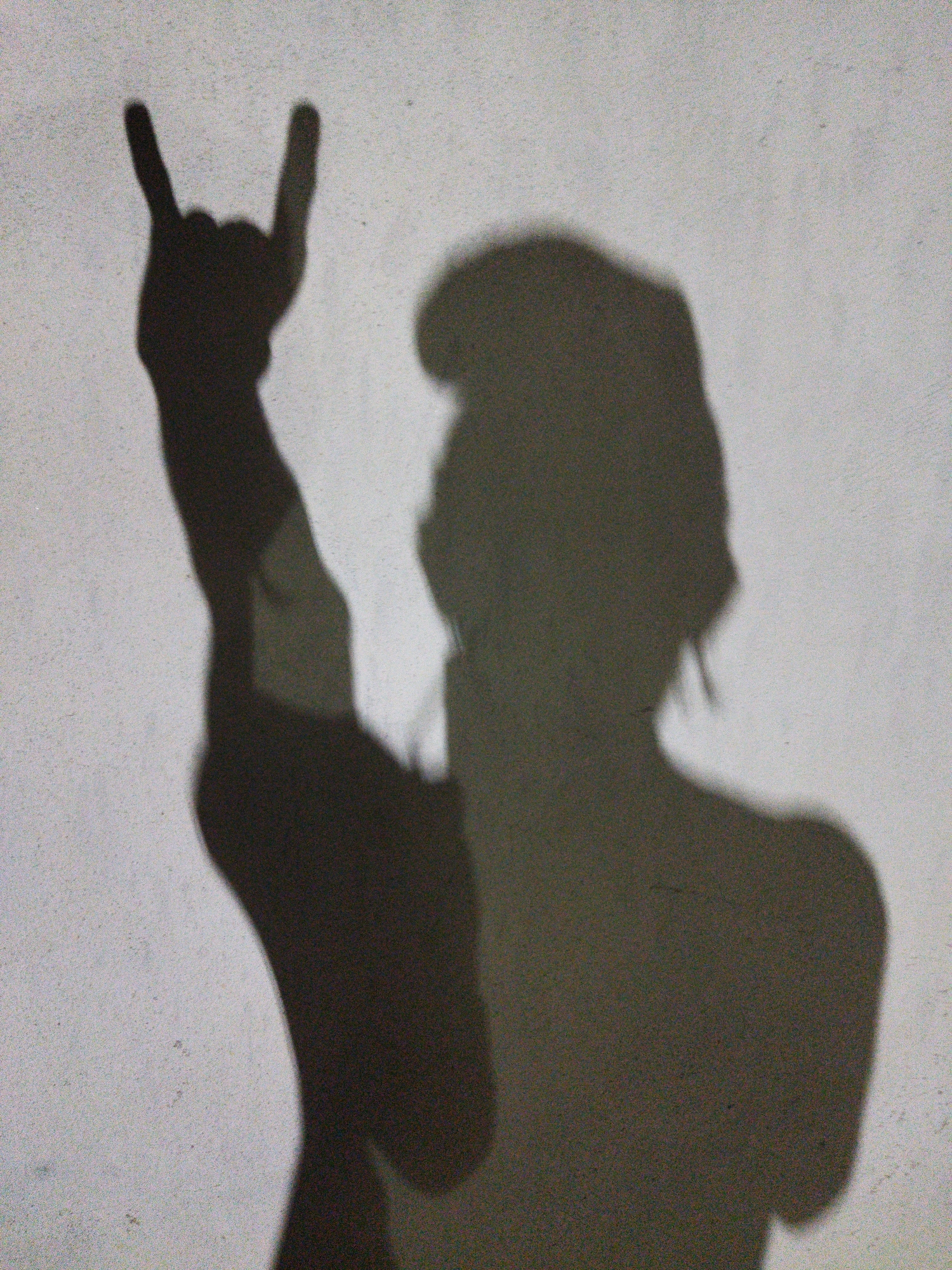 Late-night garden photography and shadow play in Tinaquillo