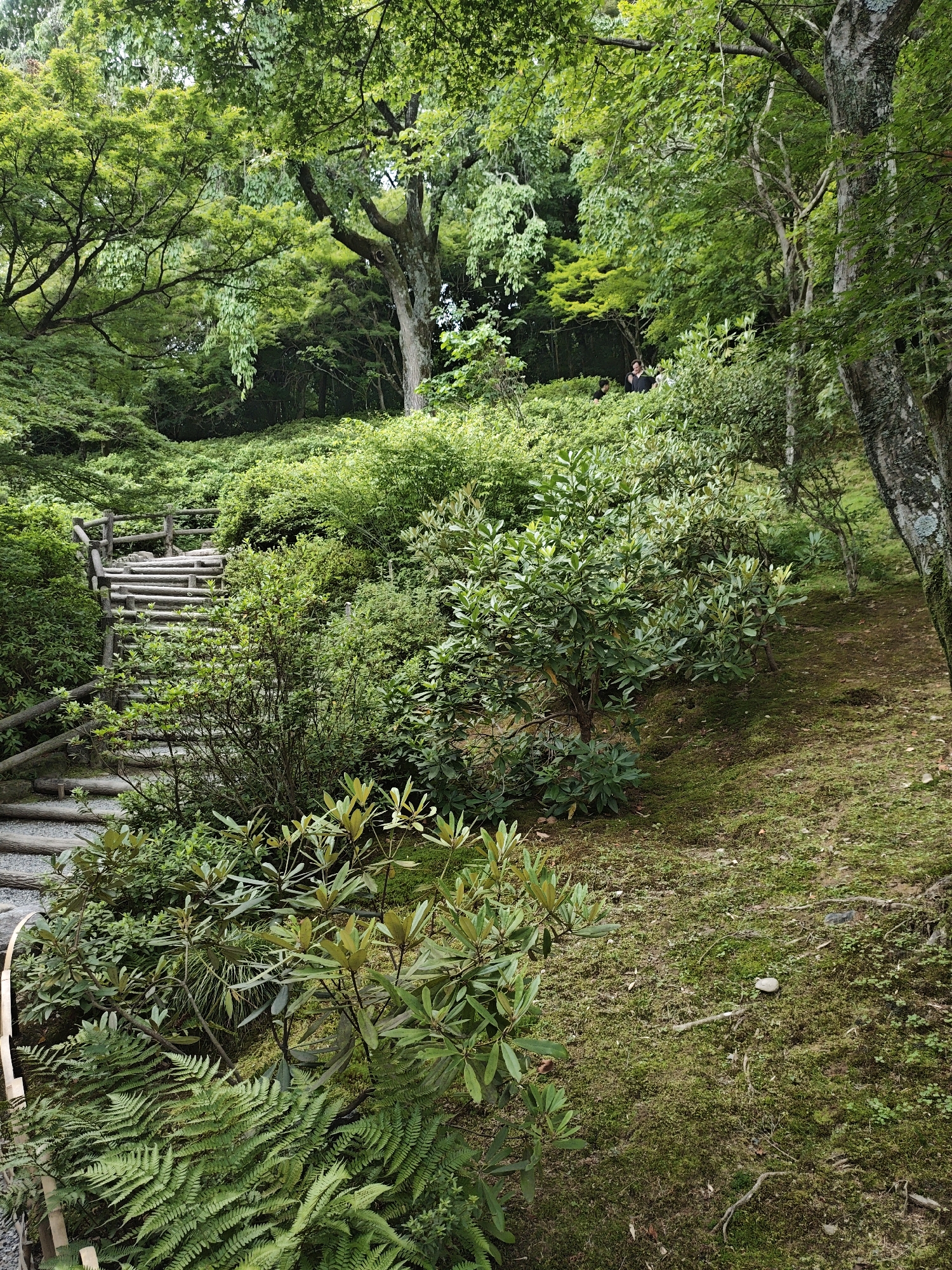 Kyoto, Japan