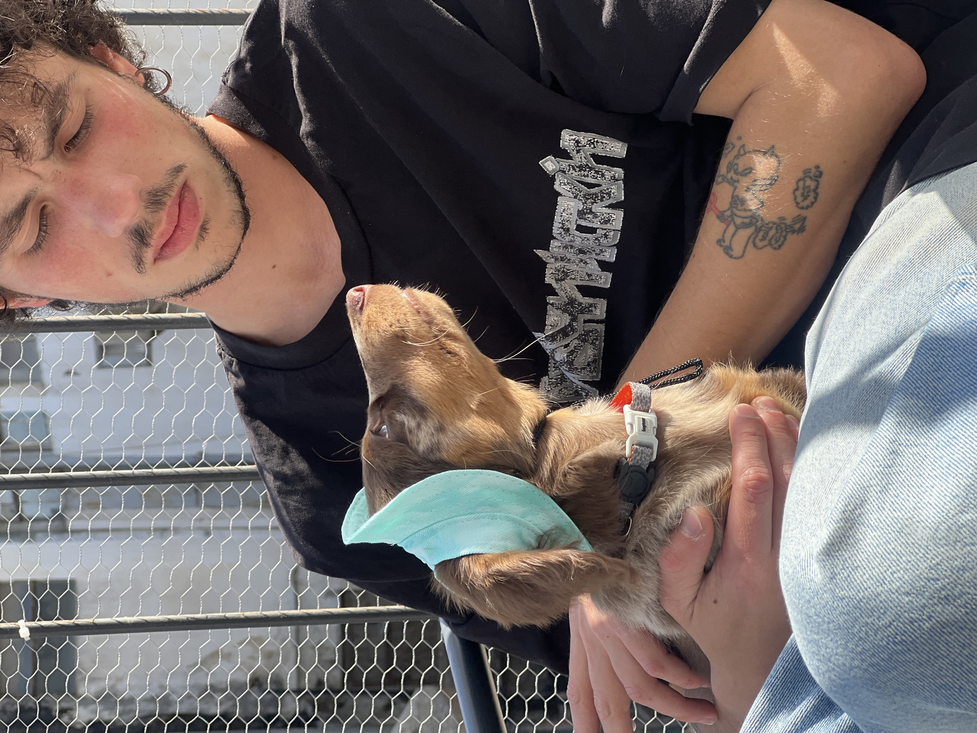 Tel-Aviv resident documents puppy, tech gear in afternoon sessions