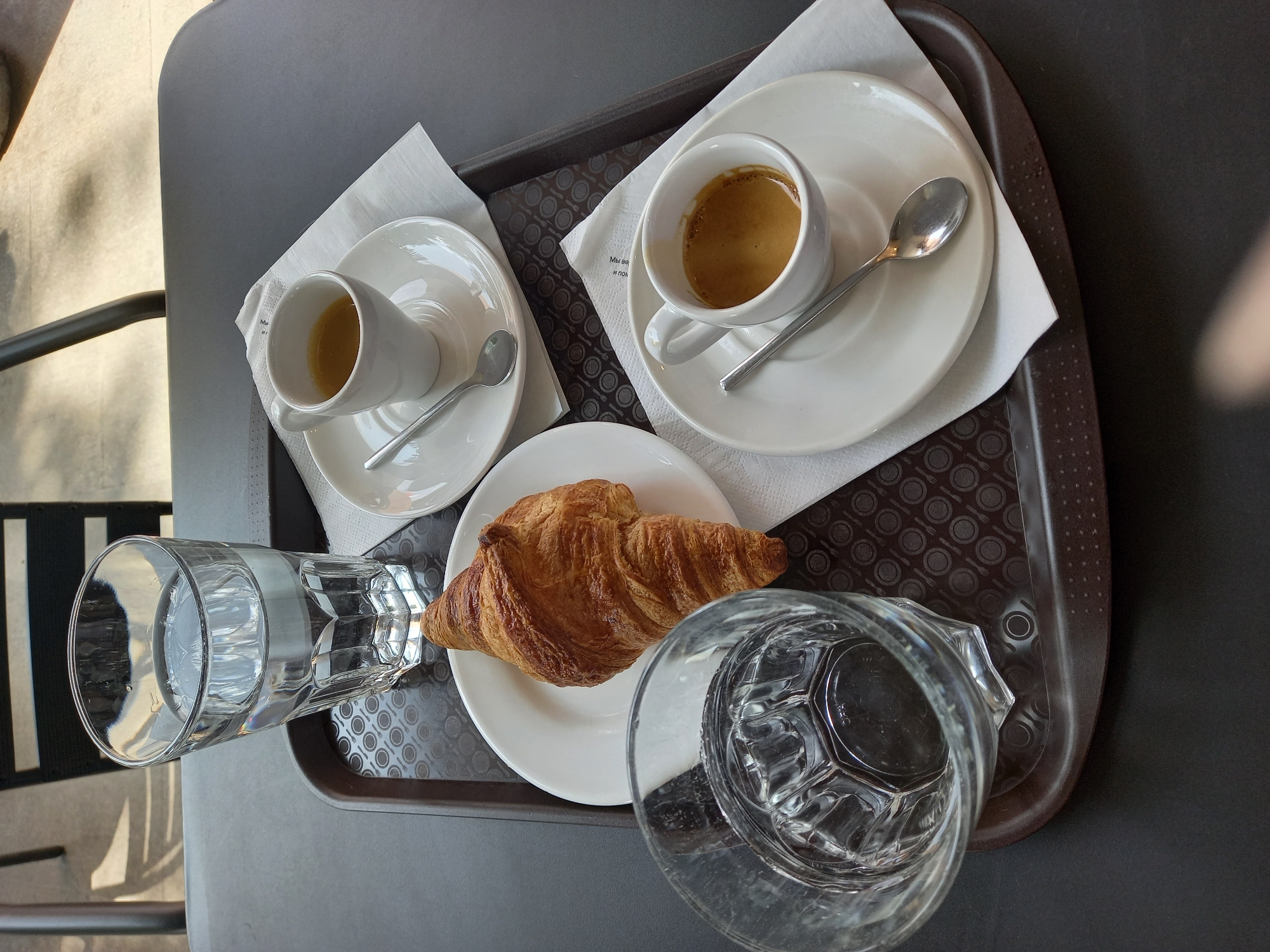 Morning cafe scenes with dog companion in Yekaterinburg