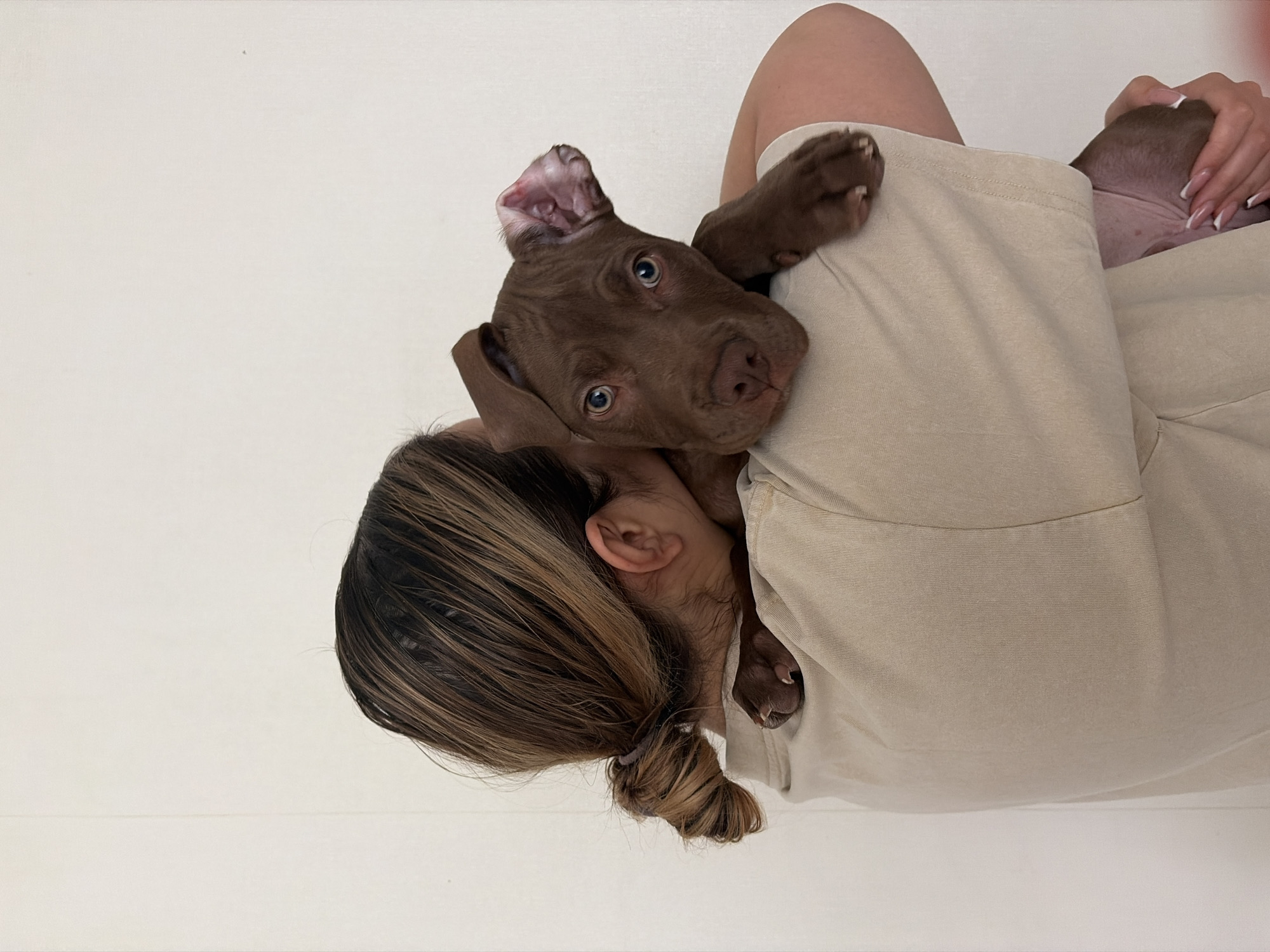Pit Bull Puppy Playtime Documented in Chaikovsky Home