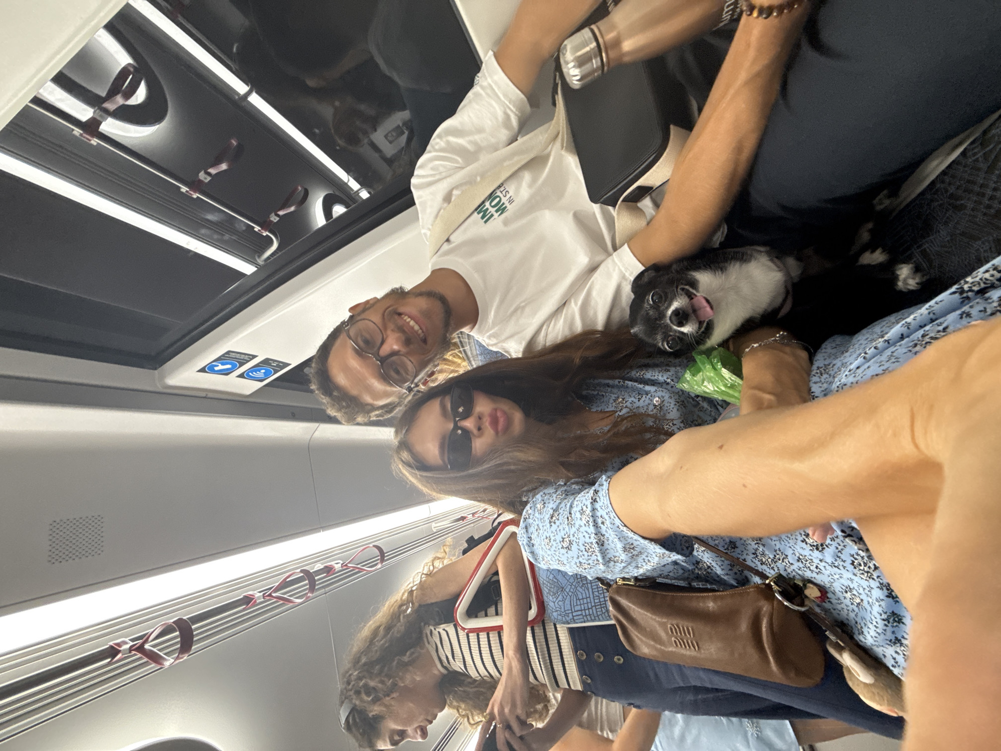 Afternoon train ride in Tel Aviv with a small dog