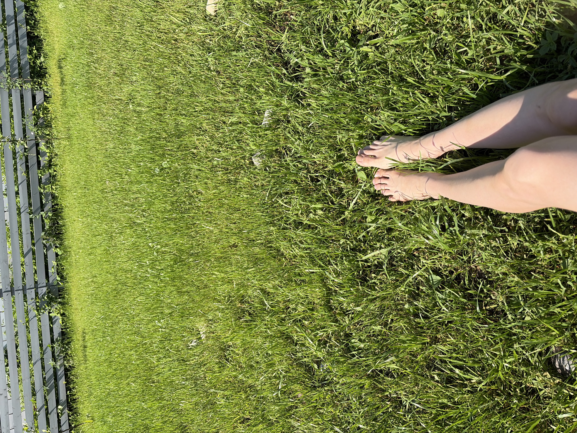 Lazy morning outside, then dishes and eggs on the stove.