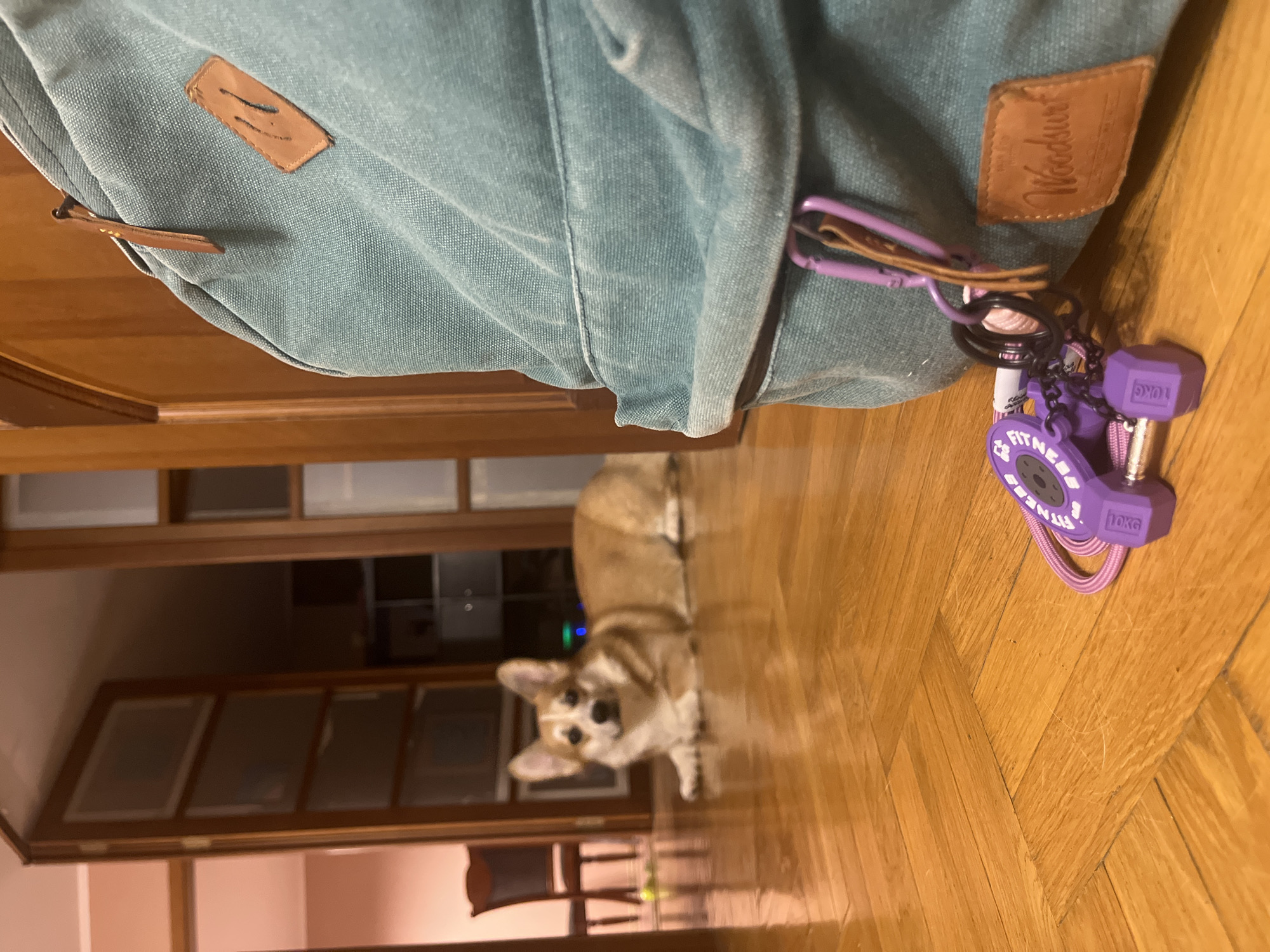 Blue Woodsurf backpack spotted on wooden floor in Novosibirsk