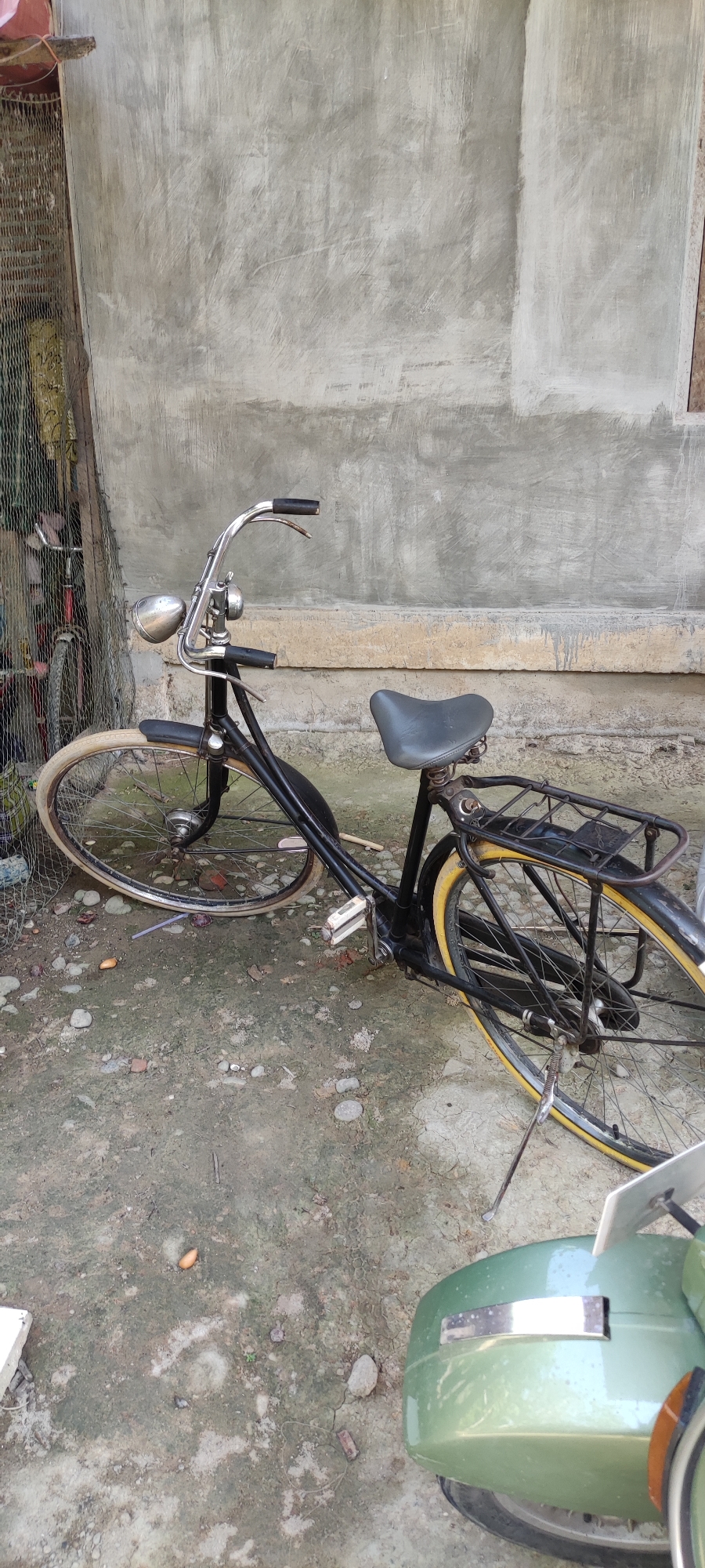 Backyard animals and an old bicycle in Payakumbuh