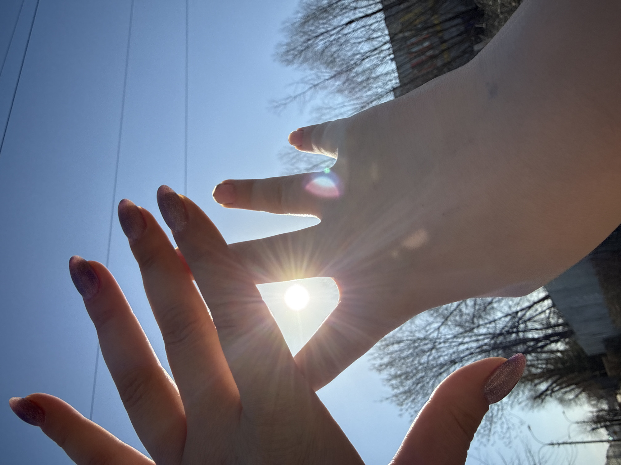 Nature photography moments captured in bright sunlight in Dmitrov