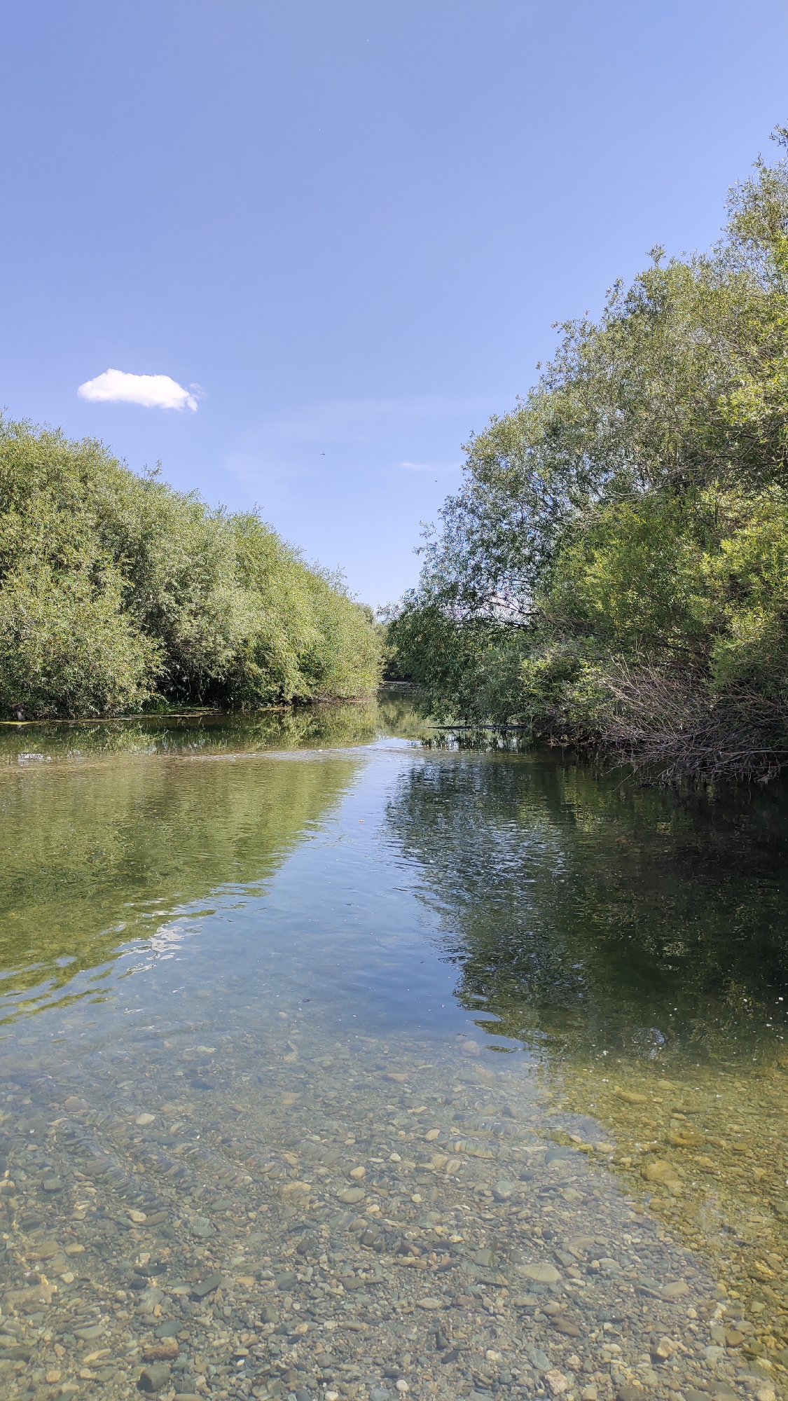 Wading through a clear pebbled river near Taldykorgan