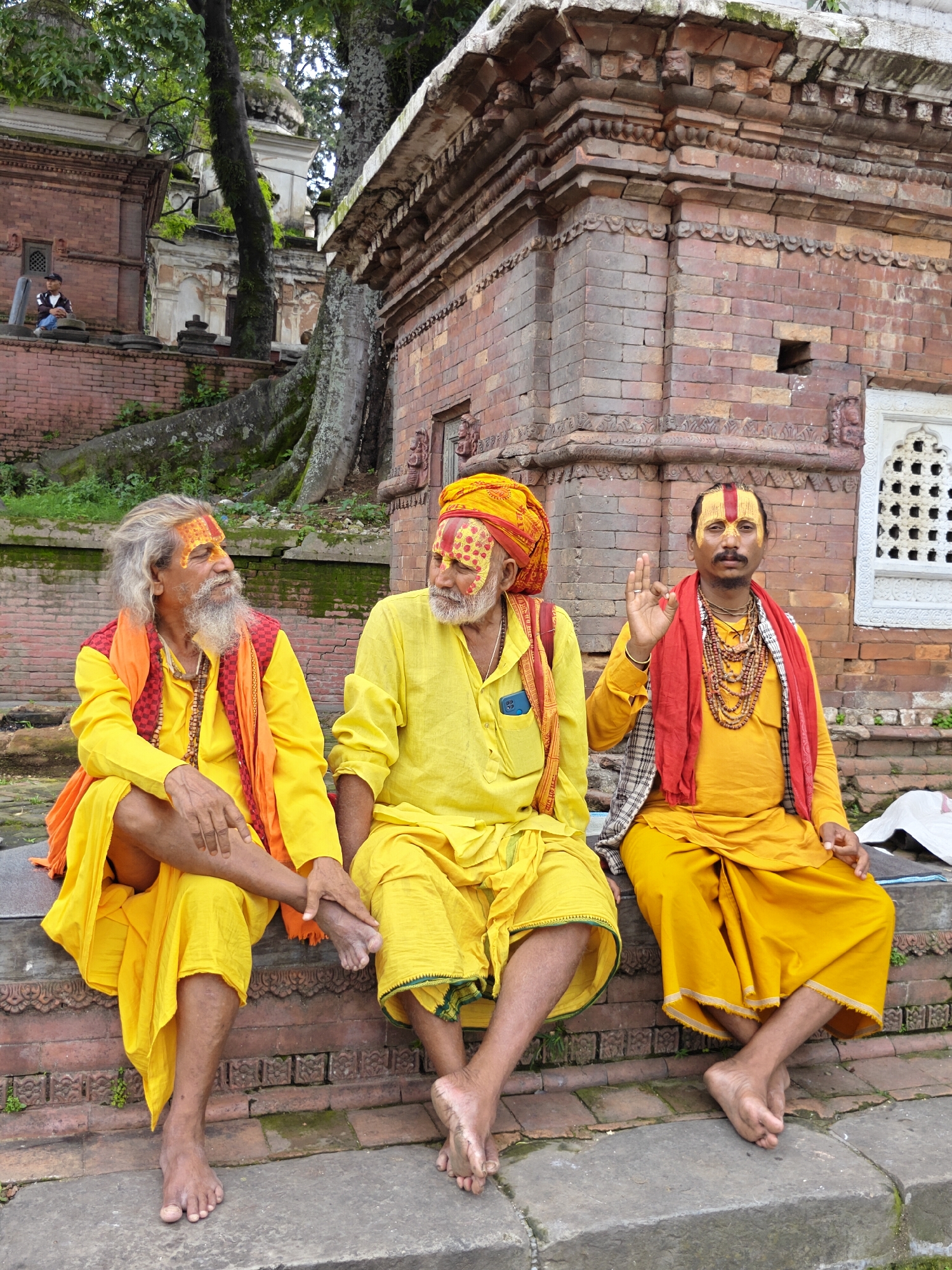 Morning life at Pashupatinath — sadhus, monkeys, cattle, and ancient stone