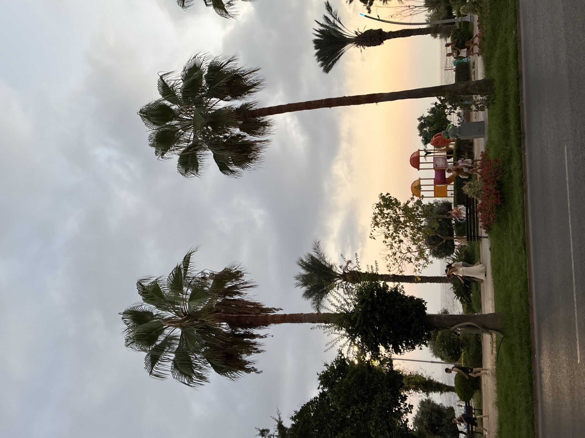 Alanya at twilight: palm-lined streets and a coastal sunset