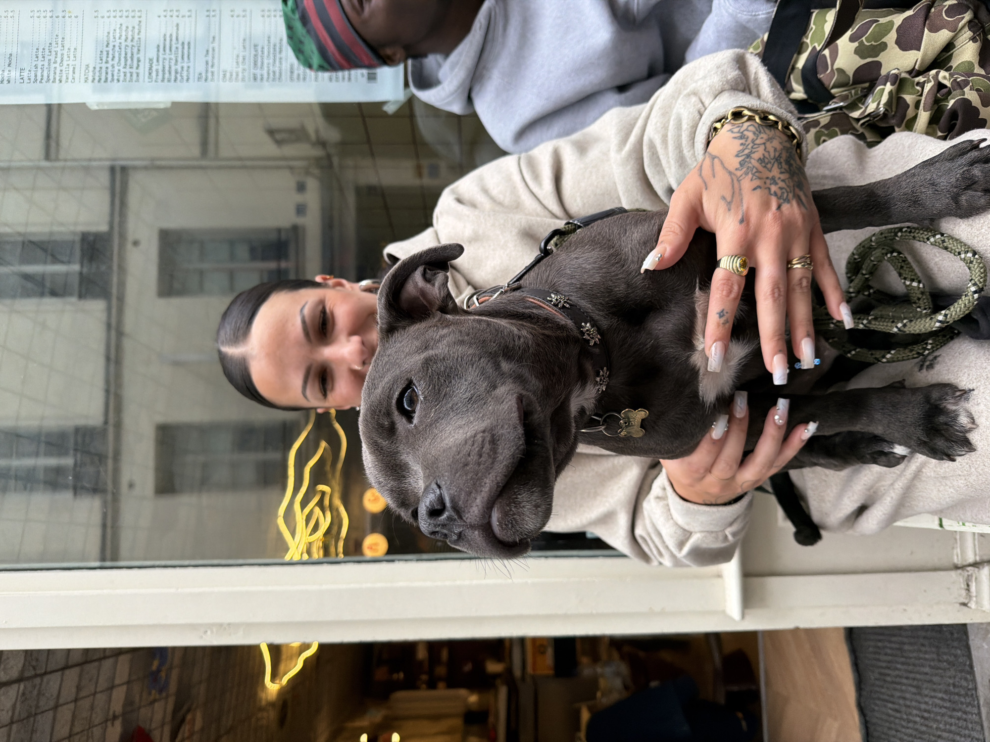 Woman poses with grey pitbull puppy in Paris apartment