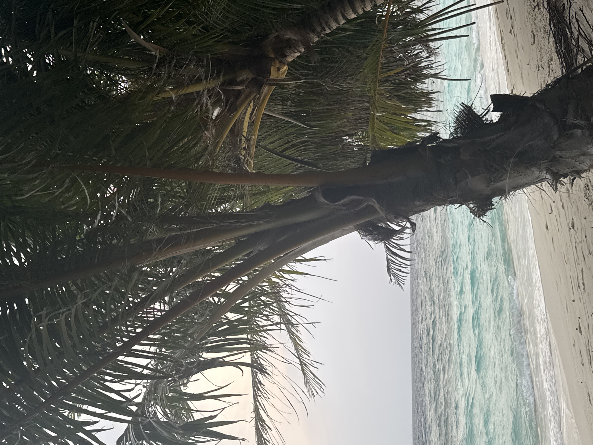 Beach scene captured in Ukulhas, Maldives showing tropical coastline